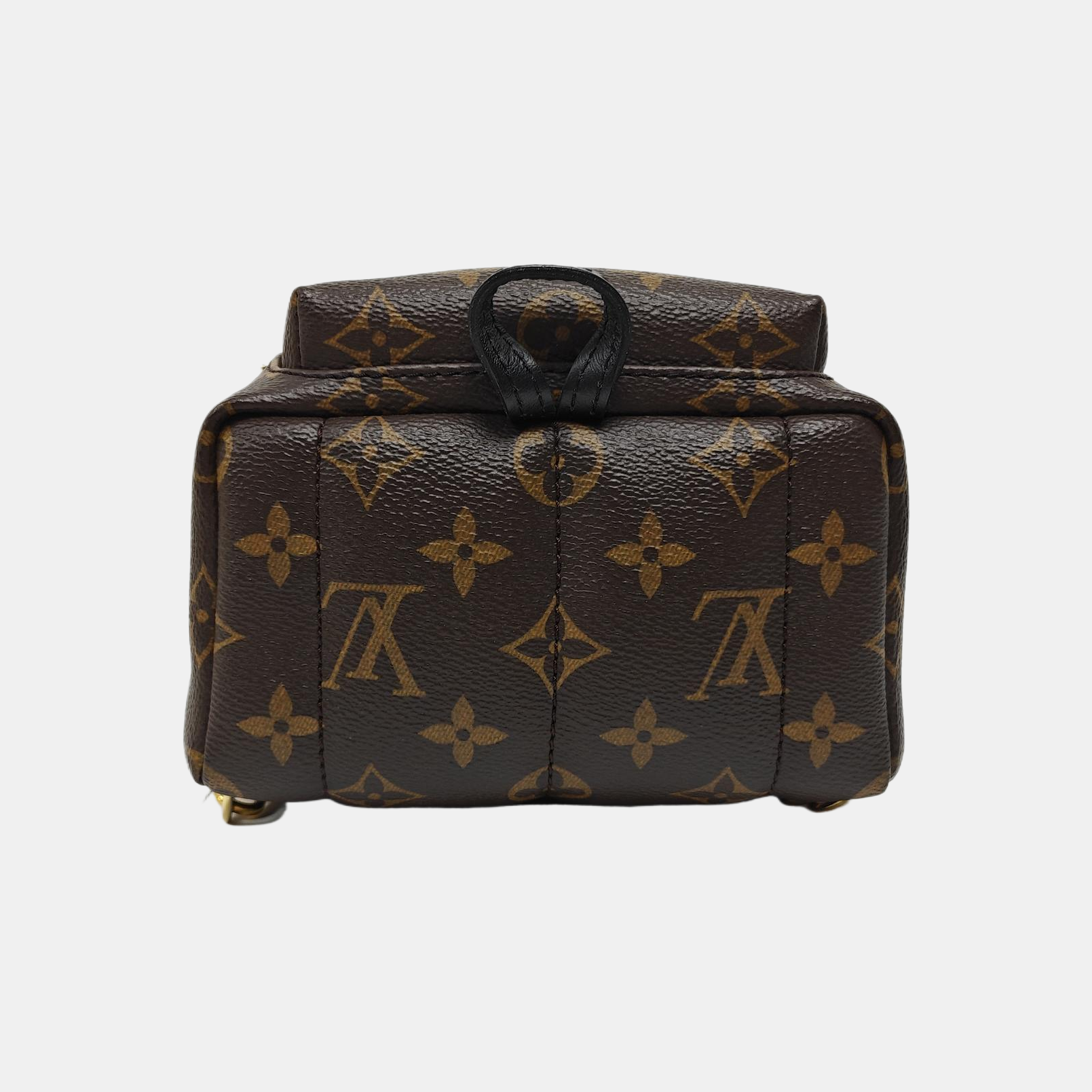 PALM SPRINGS Mini Monogram Coated Canvas Brown