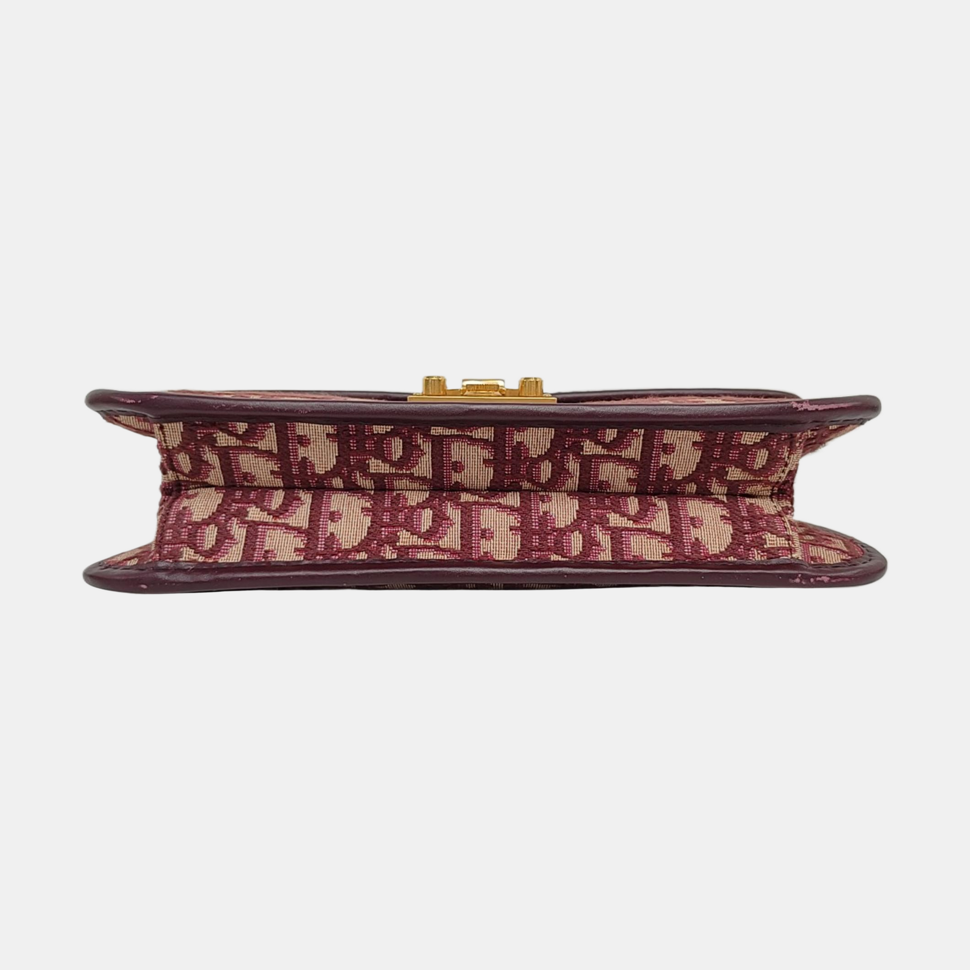 Dioraddict Oblique Canvas Red