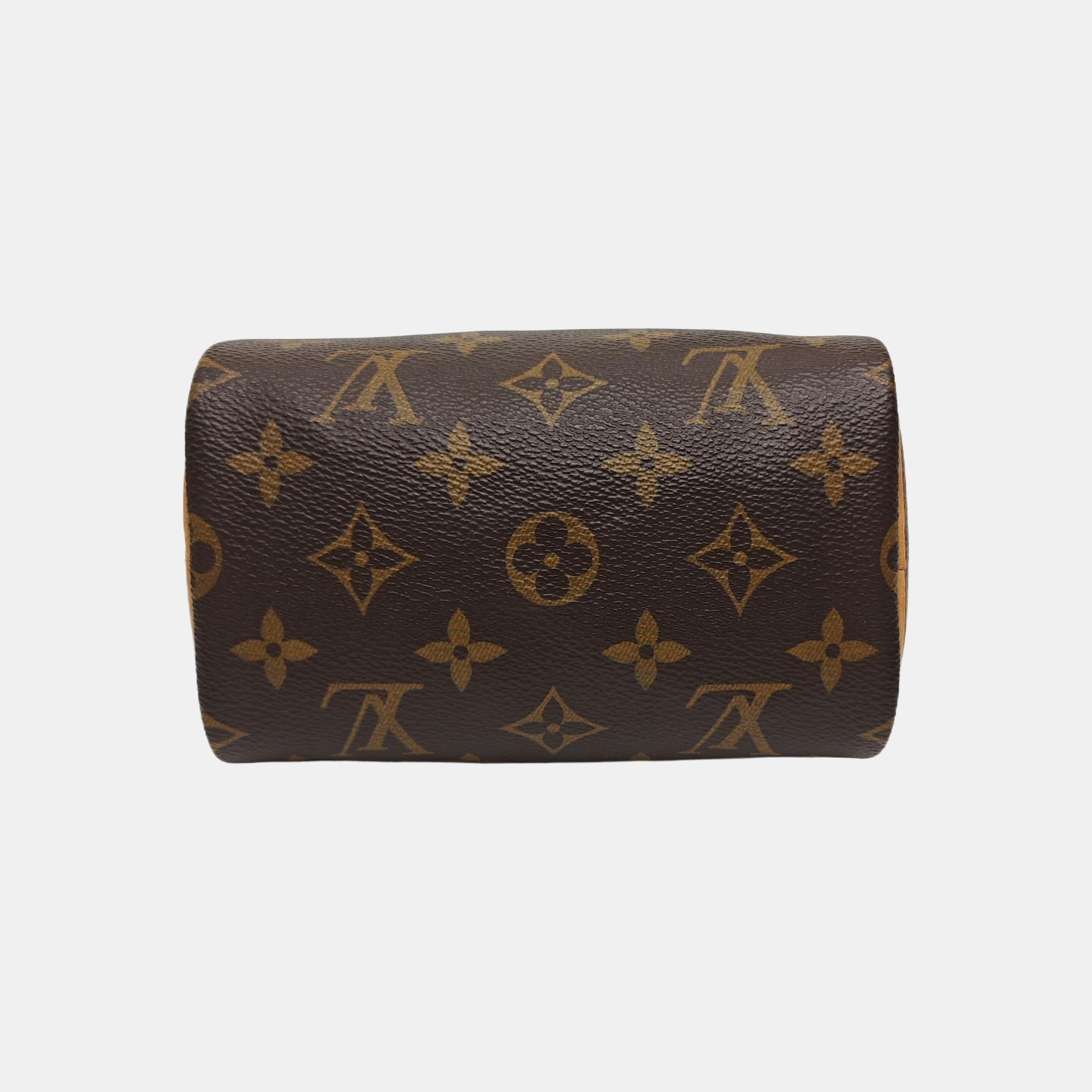 SPEEDY Nano Monogram Coated Canvas Brown