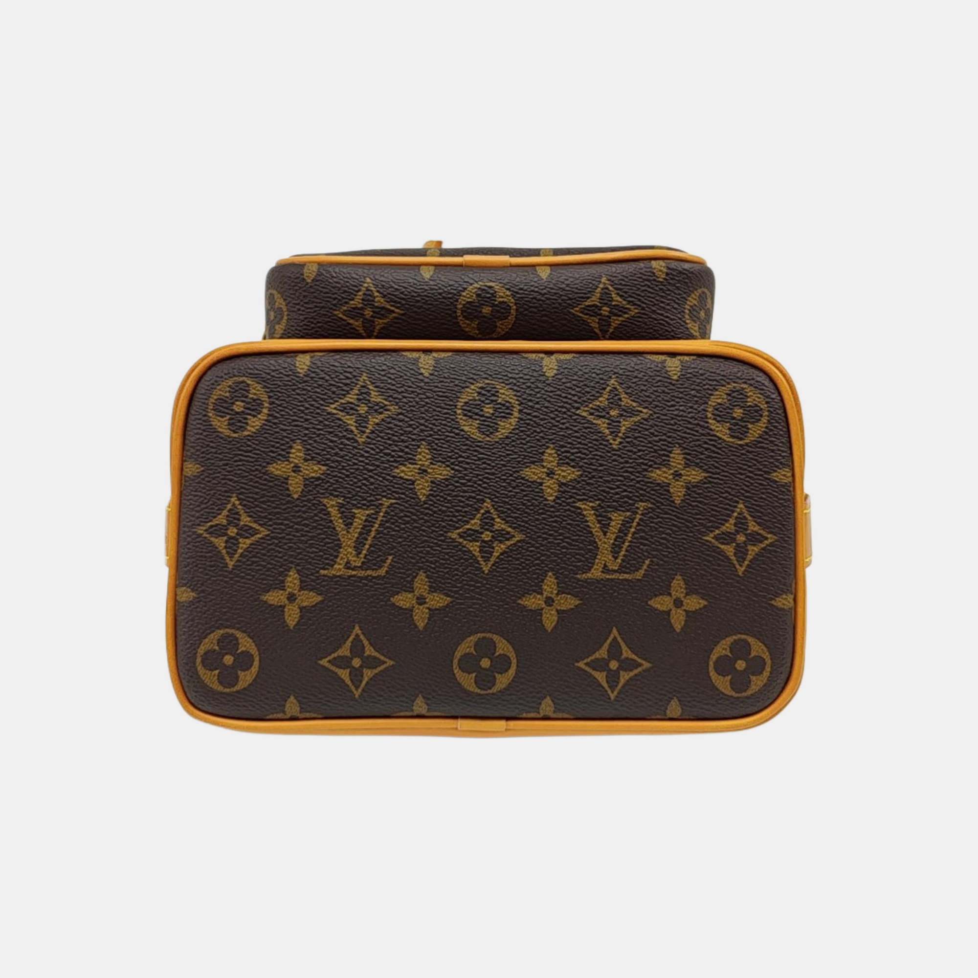 NOÉ PM Monogram Coated Canvas Brown