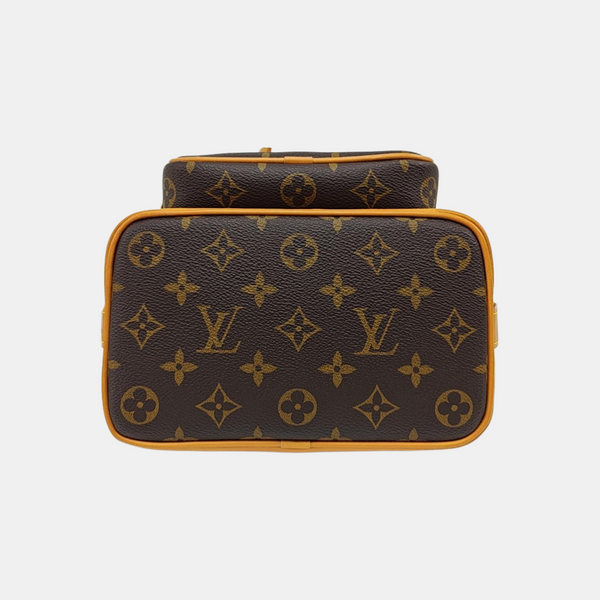 NOÉ PM Monogram Coated Canvas Brown
