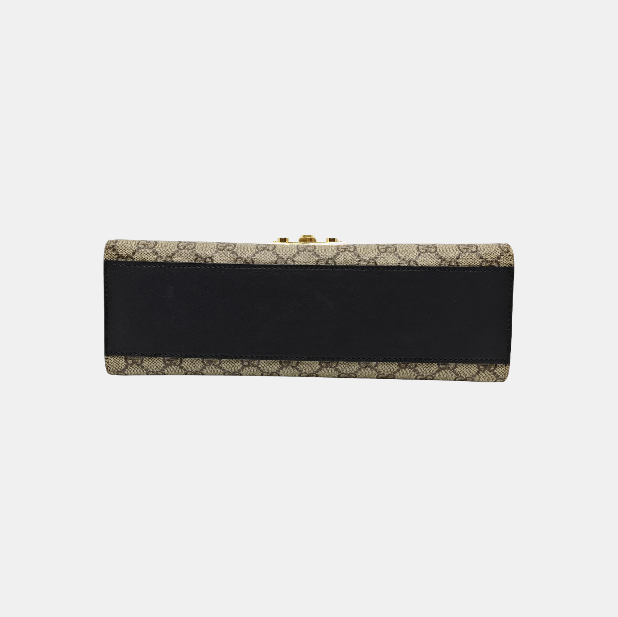Padlock Medium Monogram Coated Canvas Multicolor