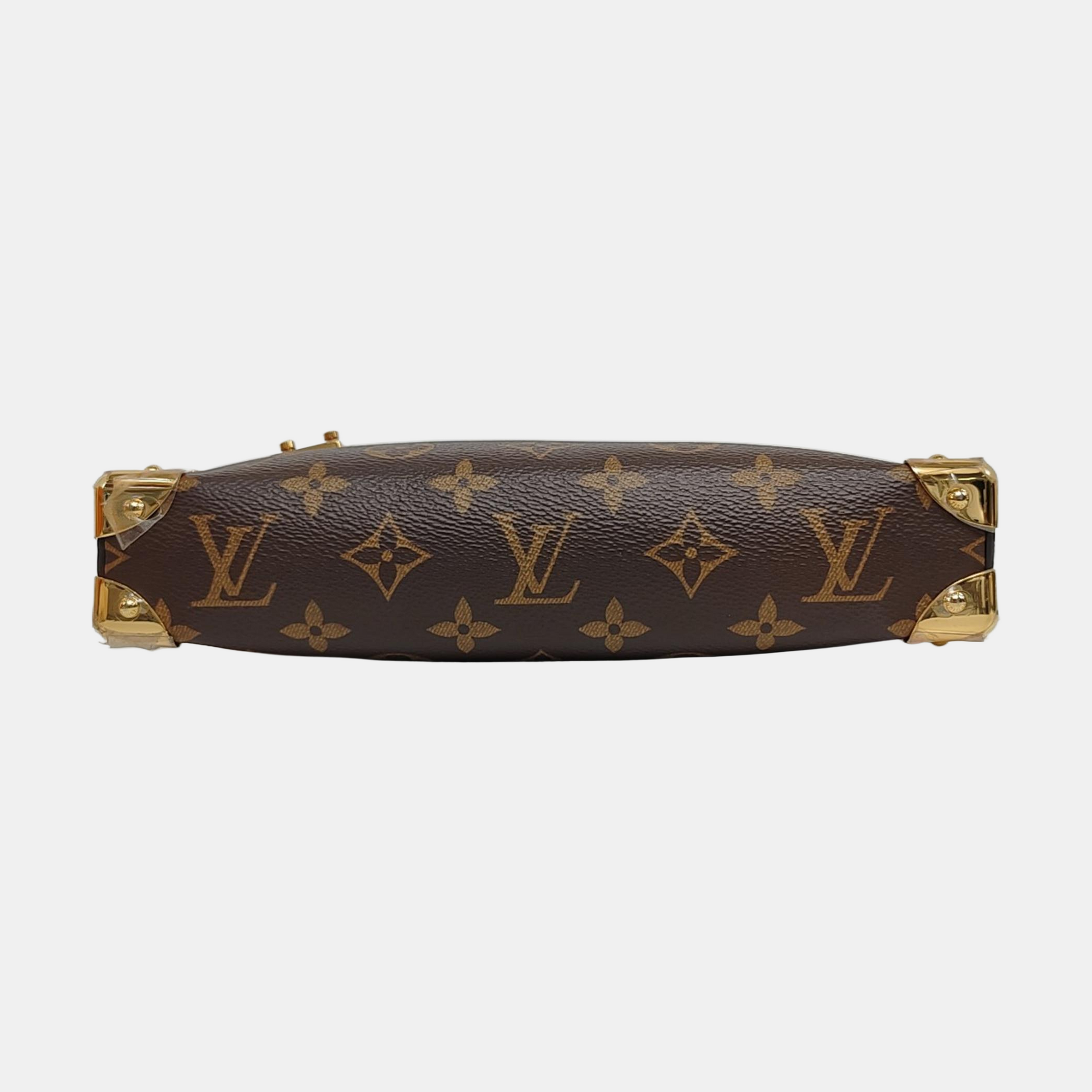 SLIM TRUNK Monogram Coated Canvas Brown