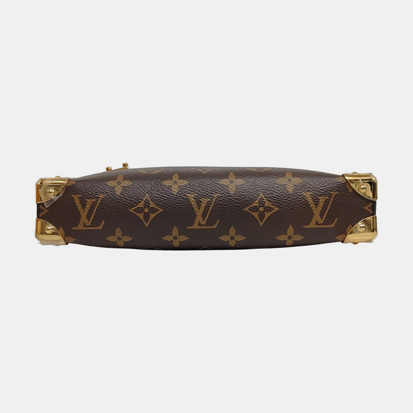 SLIM TRUNK Monogram Coated Canvas Brown