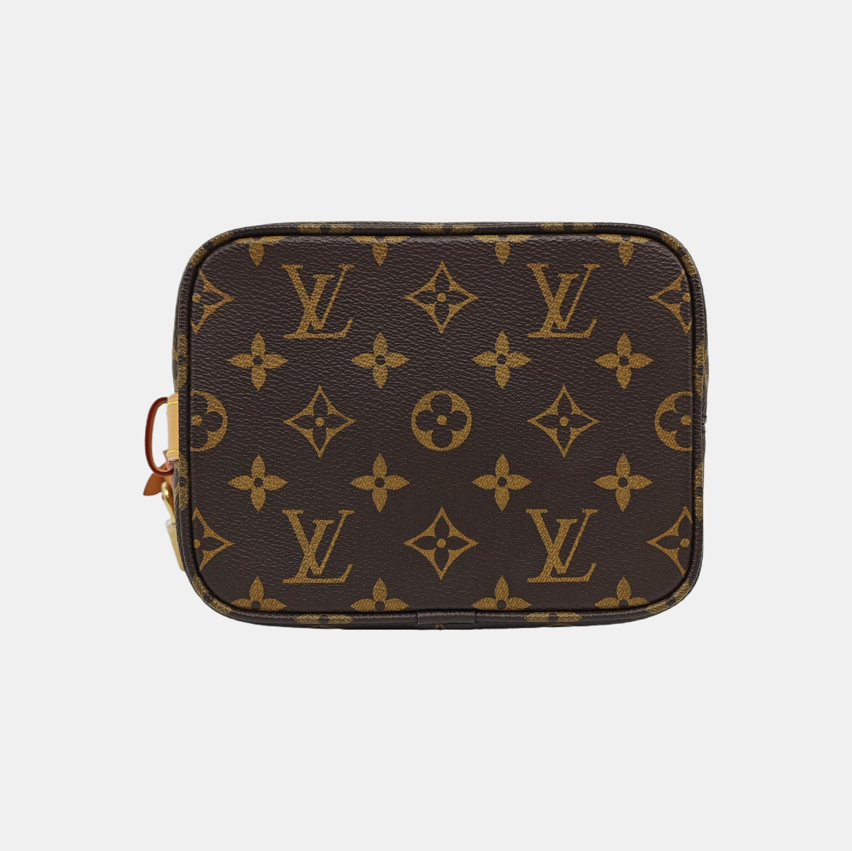 ALL IN Monogram Coated Canvas Brown