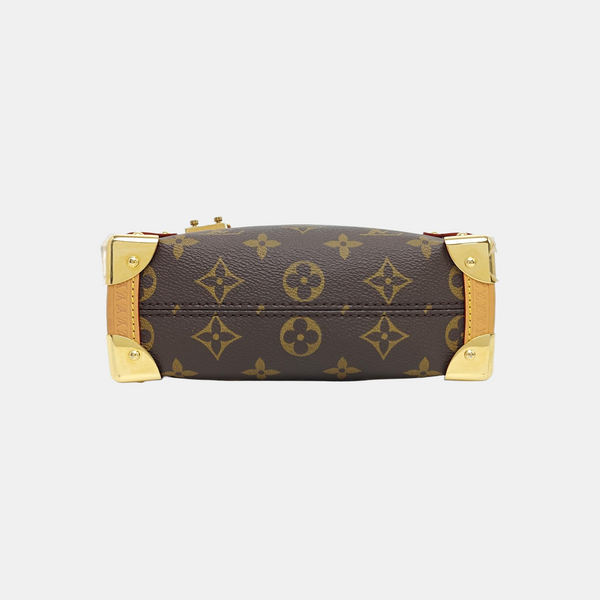SIDE TRUNK PM Monogram Coated Canvas Brown