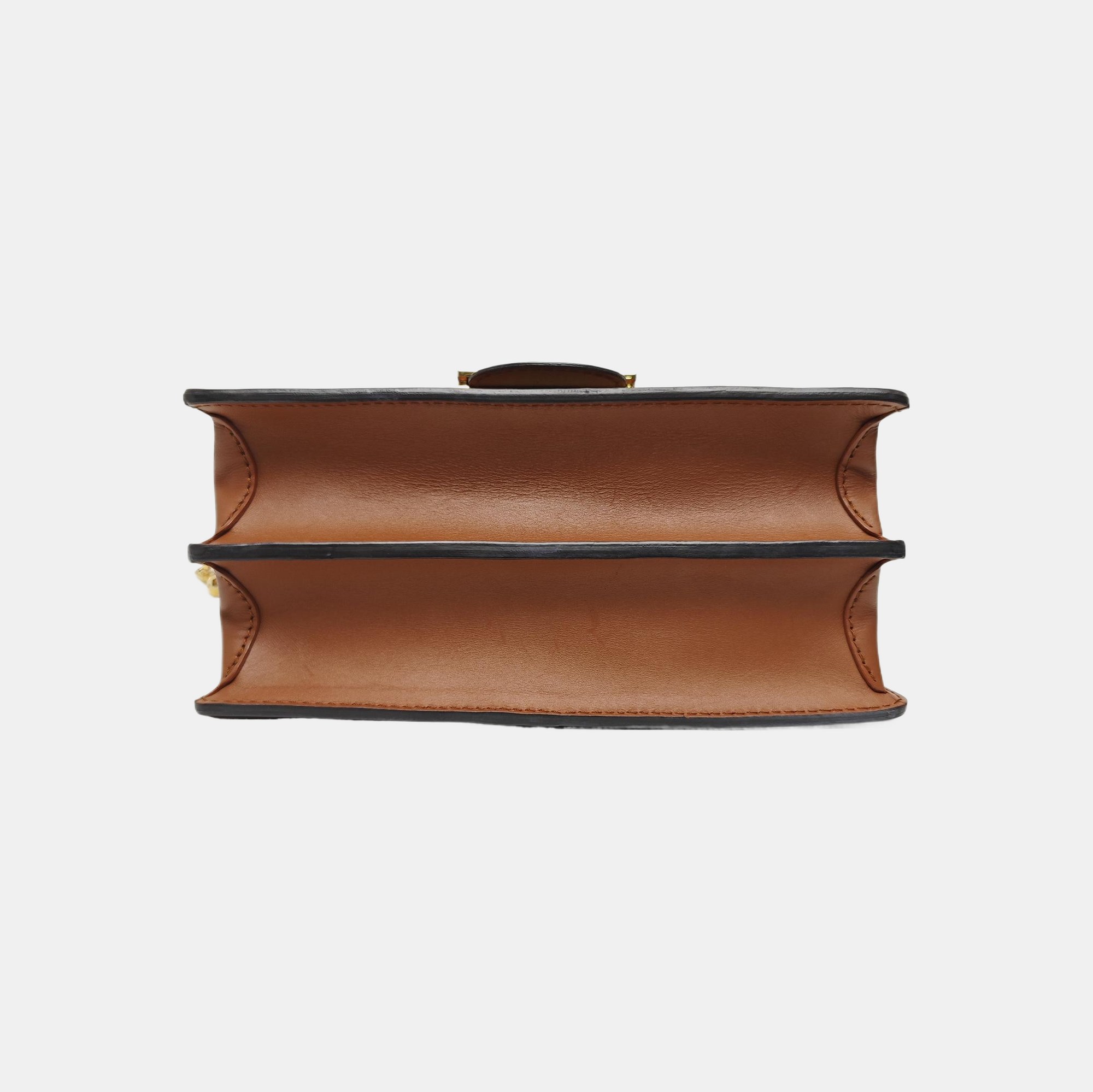 DAUPHINE MM Monogram Coated Canvas Brown