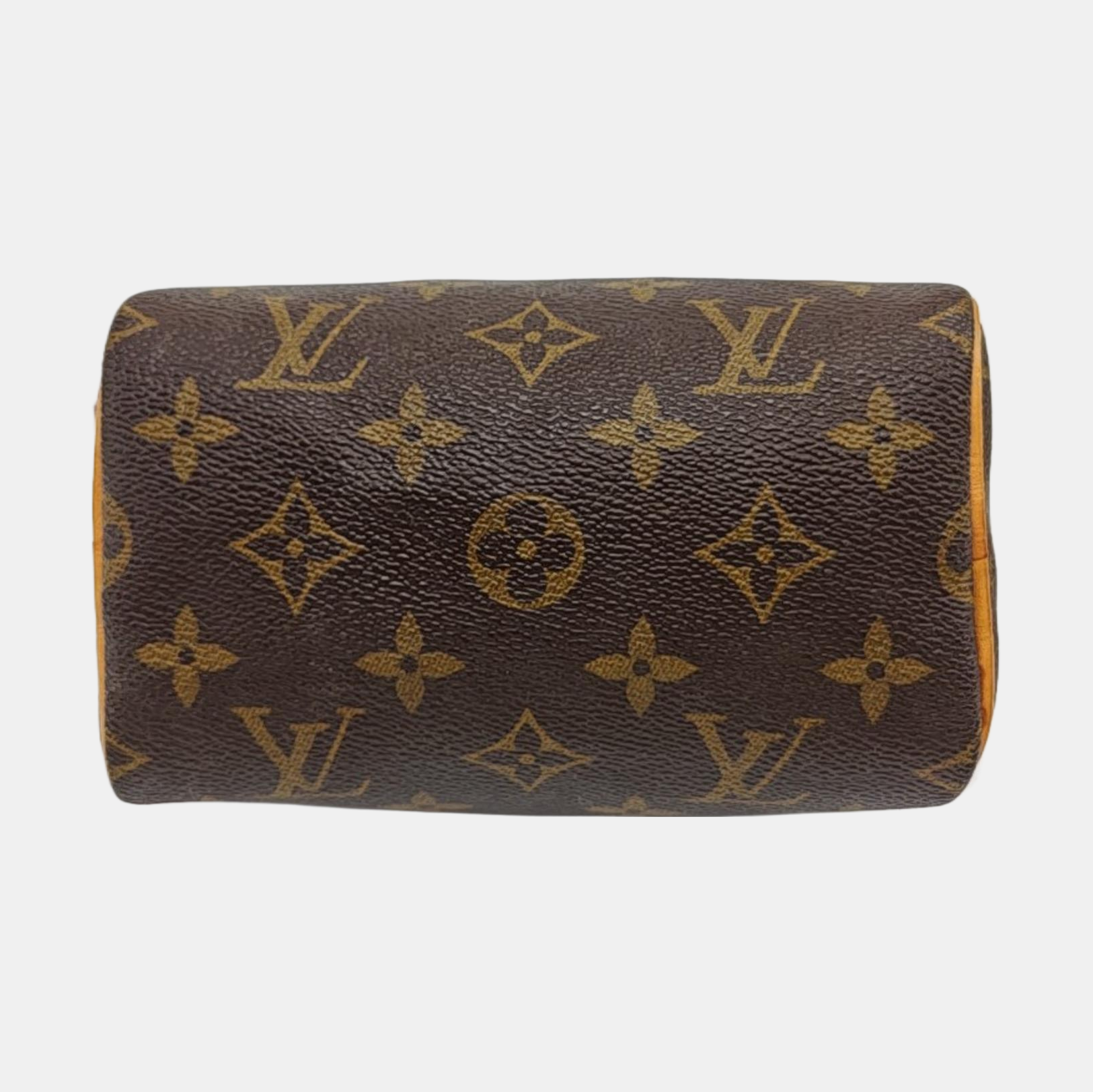 SPEEDY Nano Monogram lona revestida marrón
