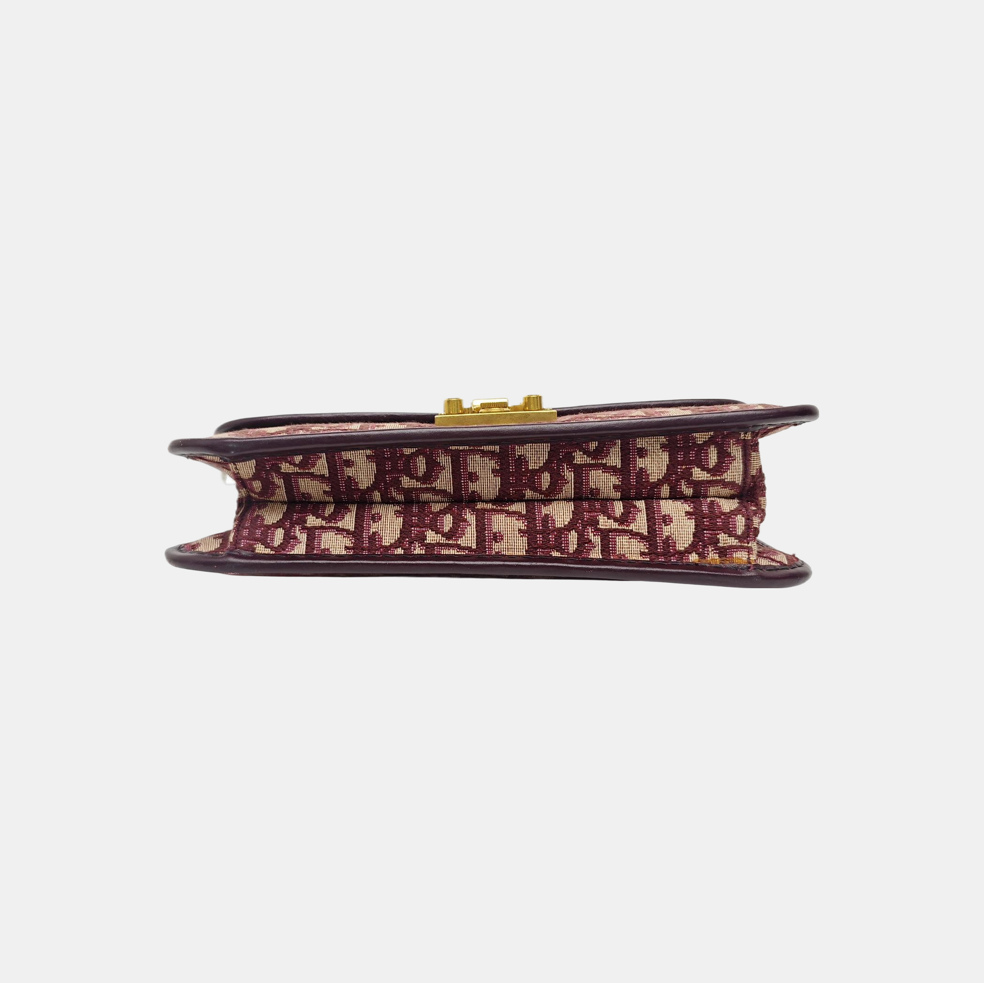 Dioraddict Oblique Canvas Red