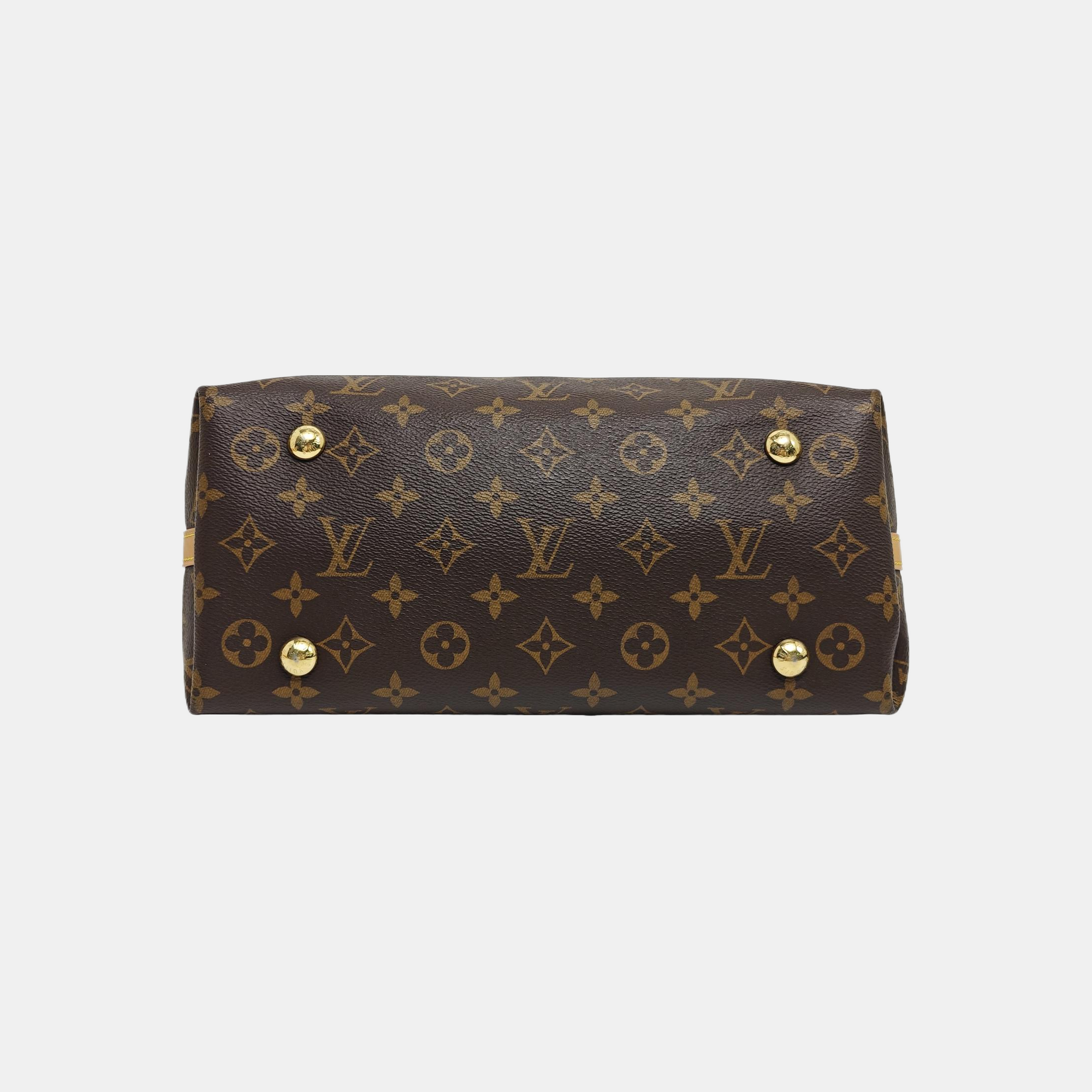 CARRYALL PM Monogram Coated Canvas Brown