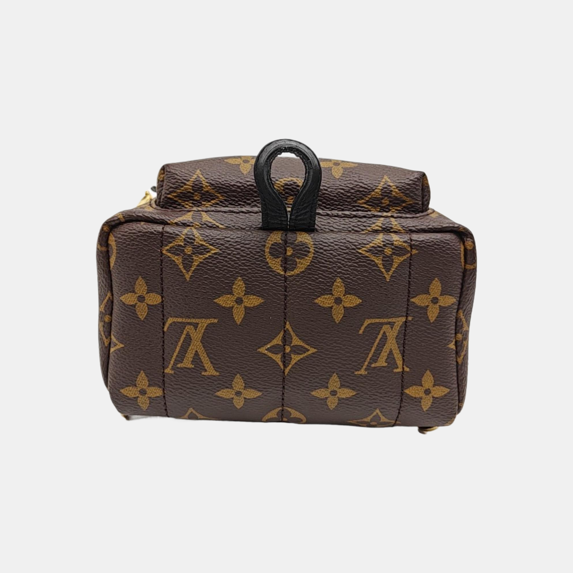 PALM SPRINGS Mini Monogram Coated Canvas Brown