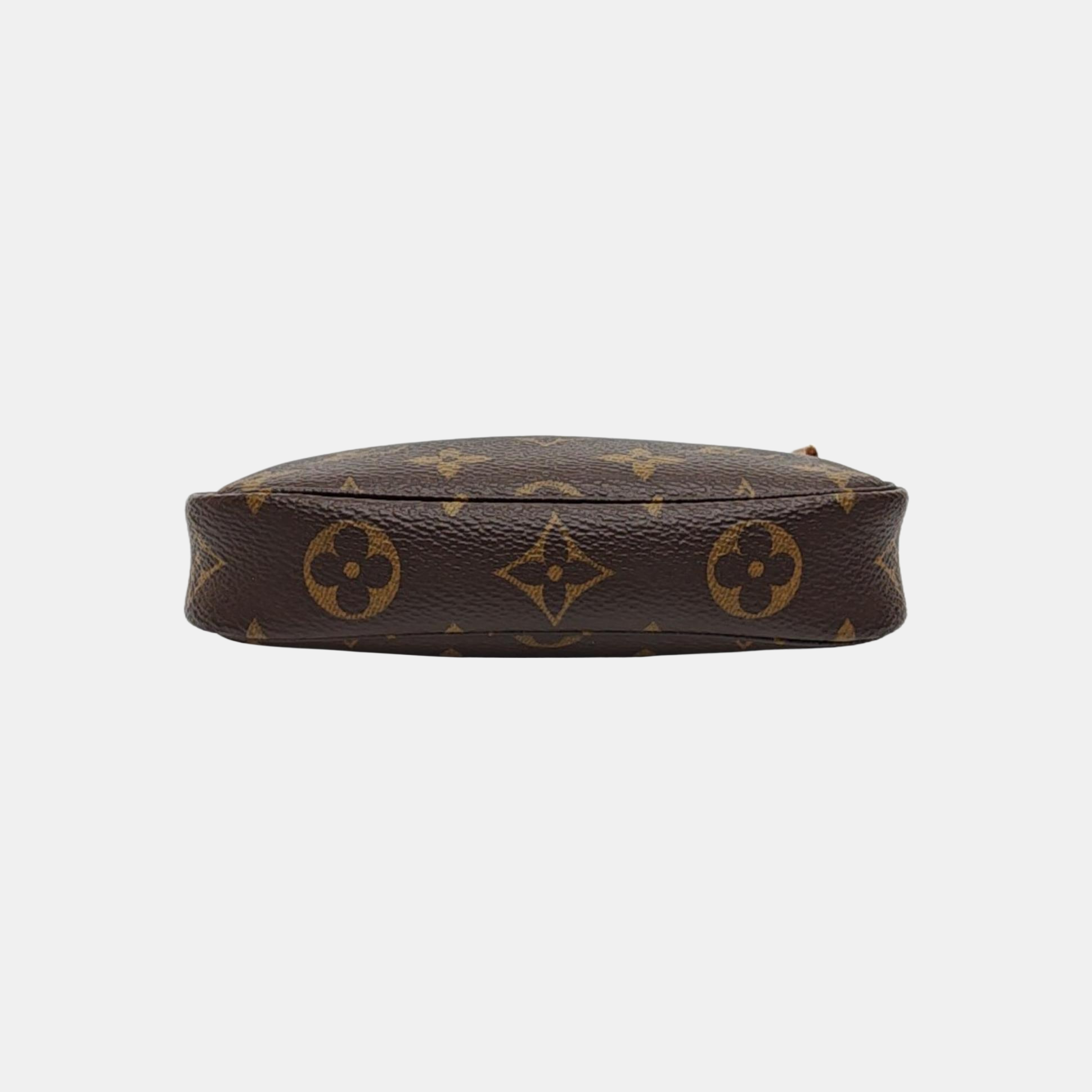 ACCESSOIRES Mini Monogram Coated Canvas Brown