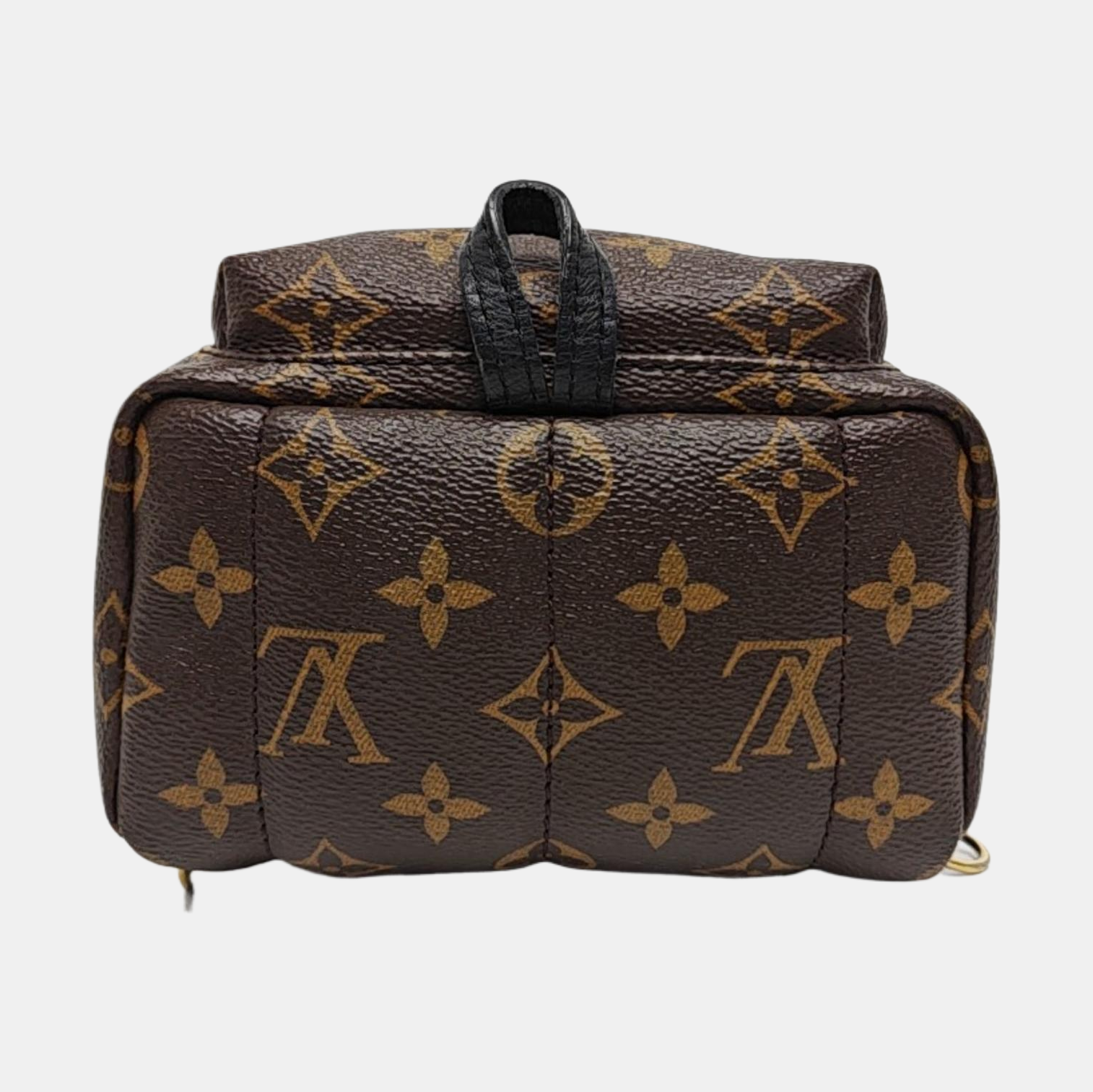 Authenticated pre-owned  PALM SPRINGS Mini Monogram Coated Canvas Brown - Backpack at Looply