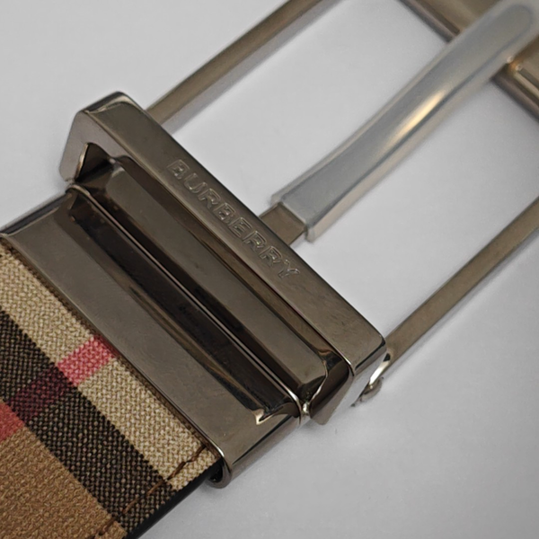 Coated Canvas Belt Beige