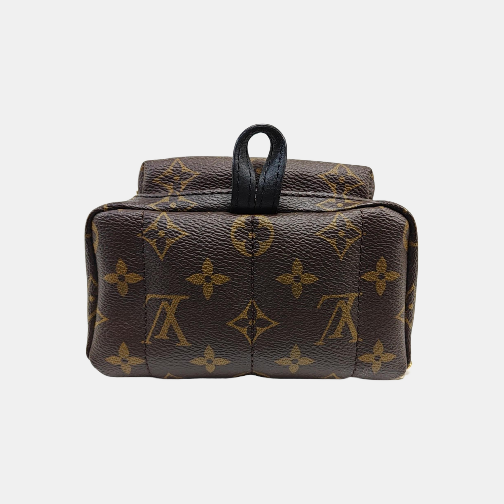 PALM SPRINGS Mini Monogram Coated Canvas Brown