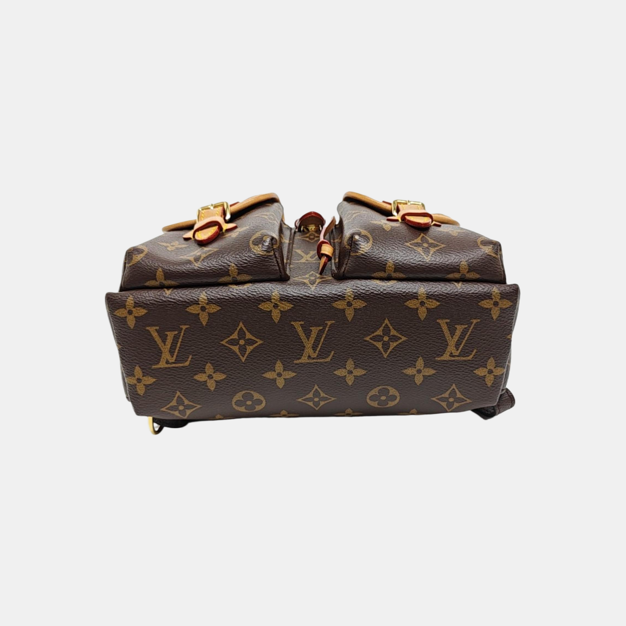 EXCURSION PM Monogram Coated Canvas Brown