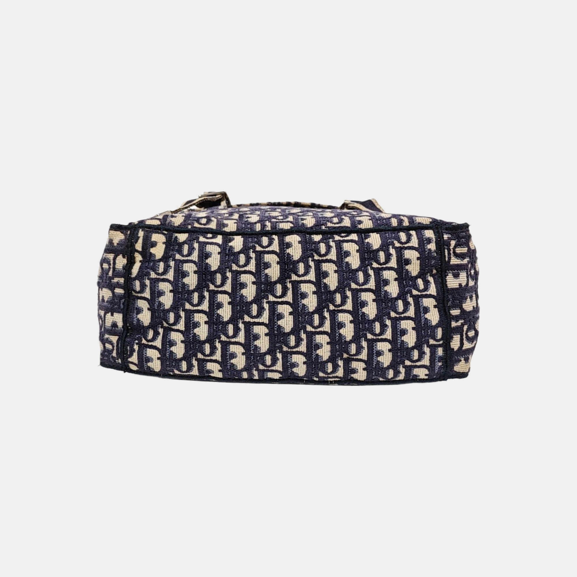 Diorcamp Large Oblique Canvas Blue