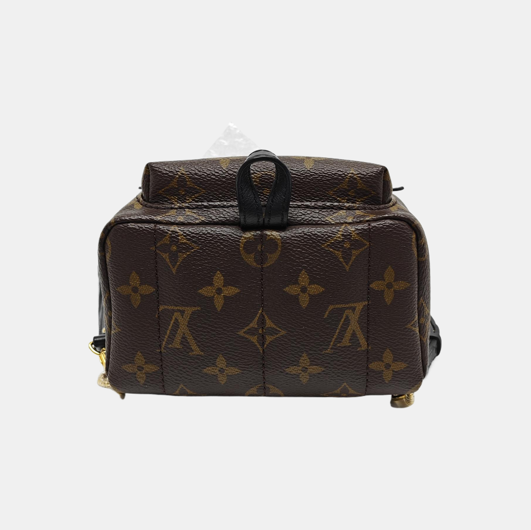 PALM SPRINGS Mini Monogram Coated Canvas Brown