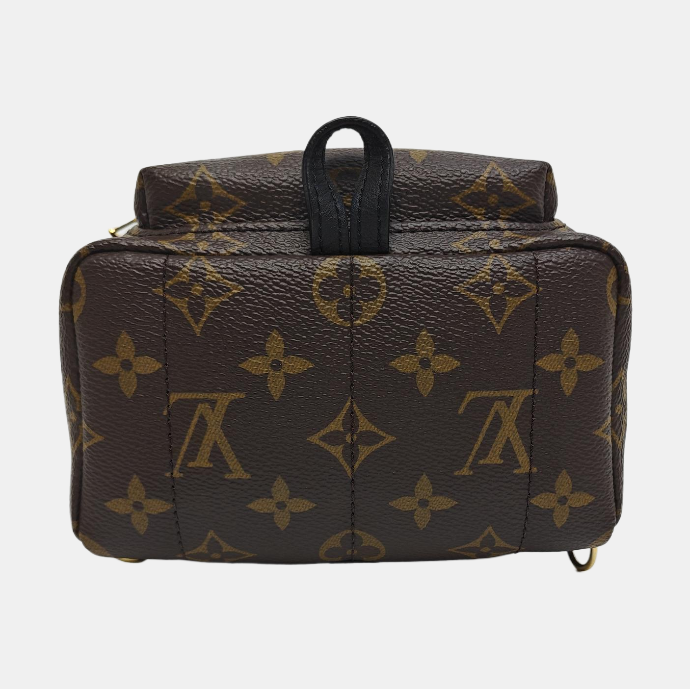PALM SPRINGS Mini Monogram Coated Canvas Brown