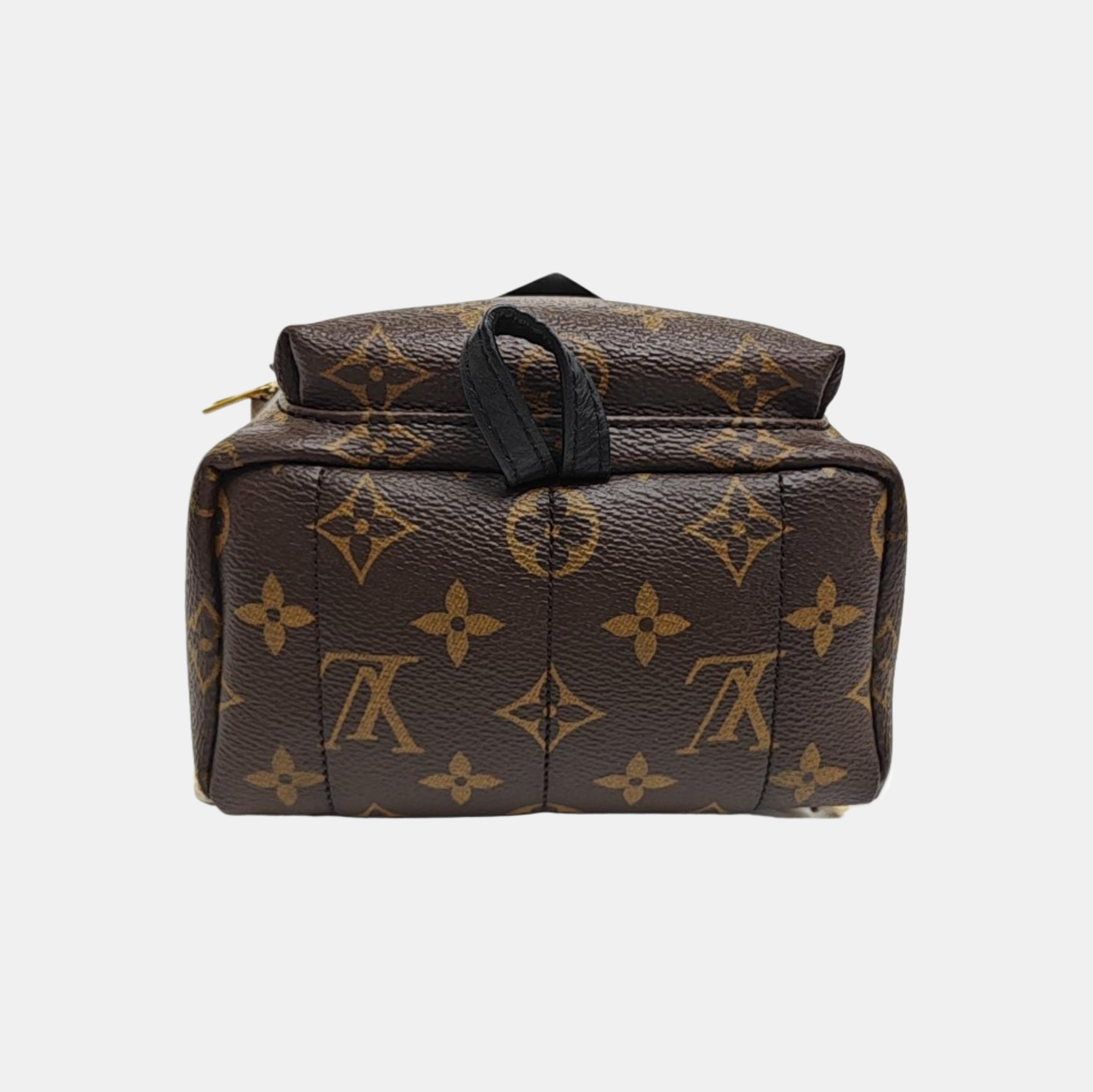 PALM SPRINGS Mini Monogram Coated Canvas Brown