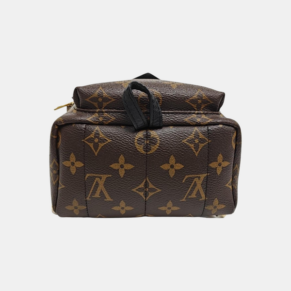 PALM SPRINGS Mini Monogram Coated Canvas Brown