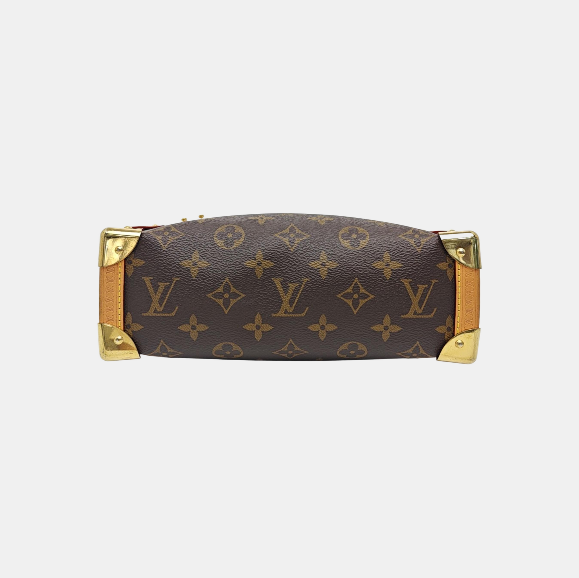 SIDE TRUNK MM Monogram Coated Canvas Brown