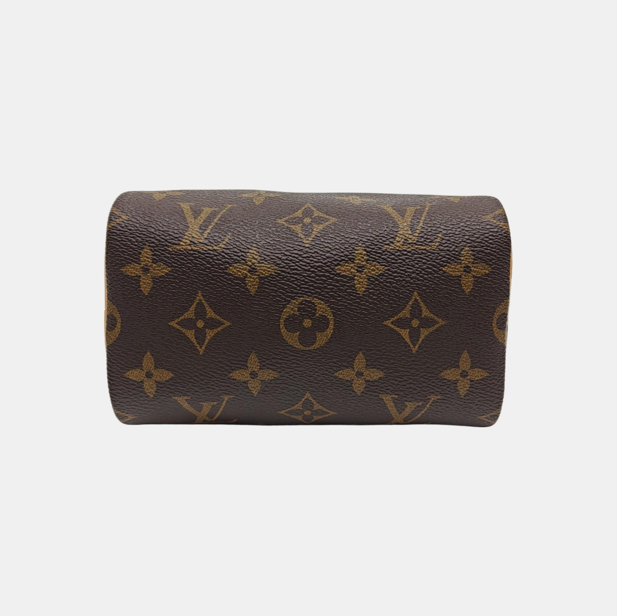 SPEEDY Nano Monogram Coated Canvas Brown