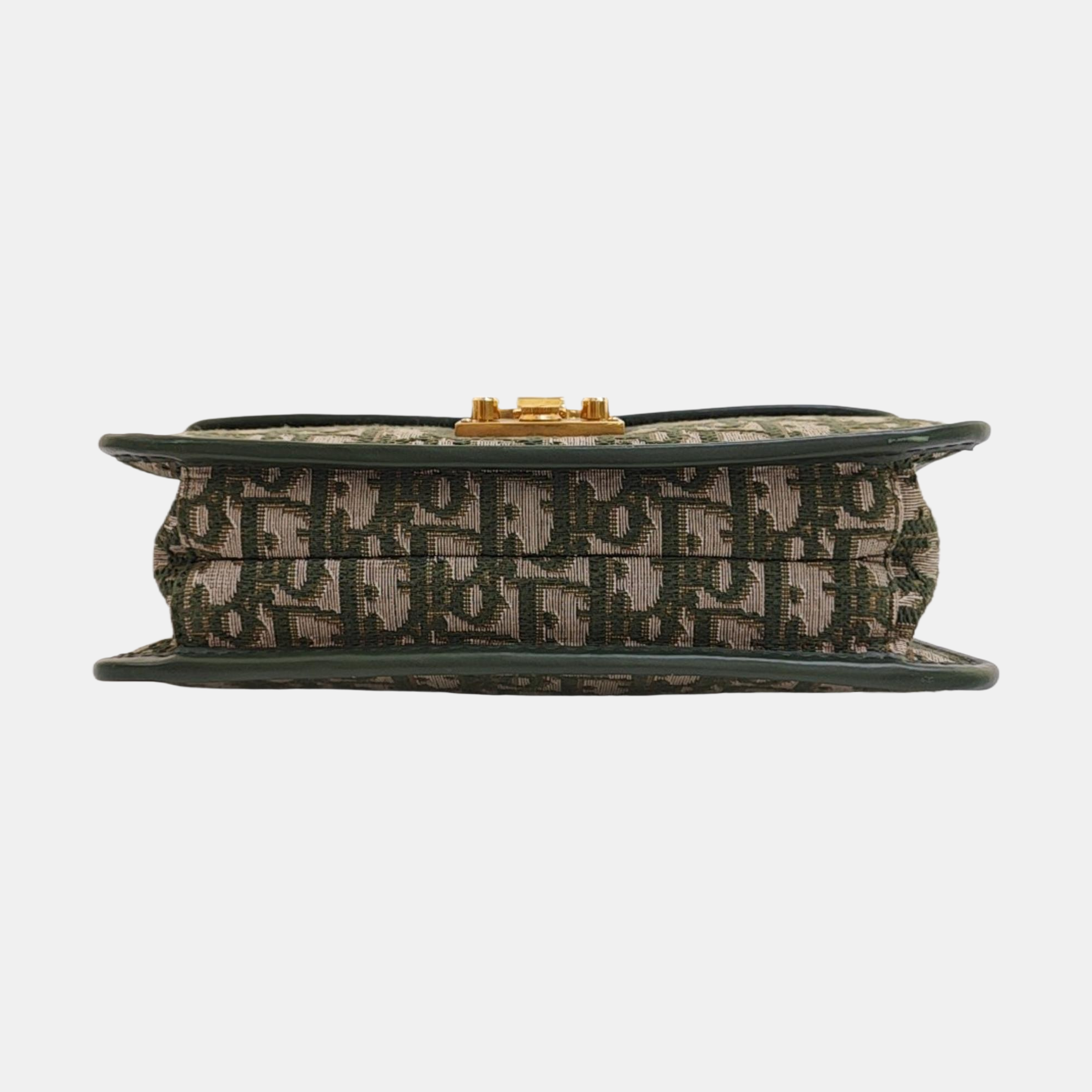 Dioraddict Oblique Canvas Green