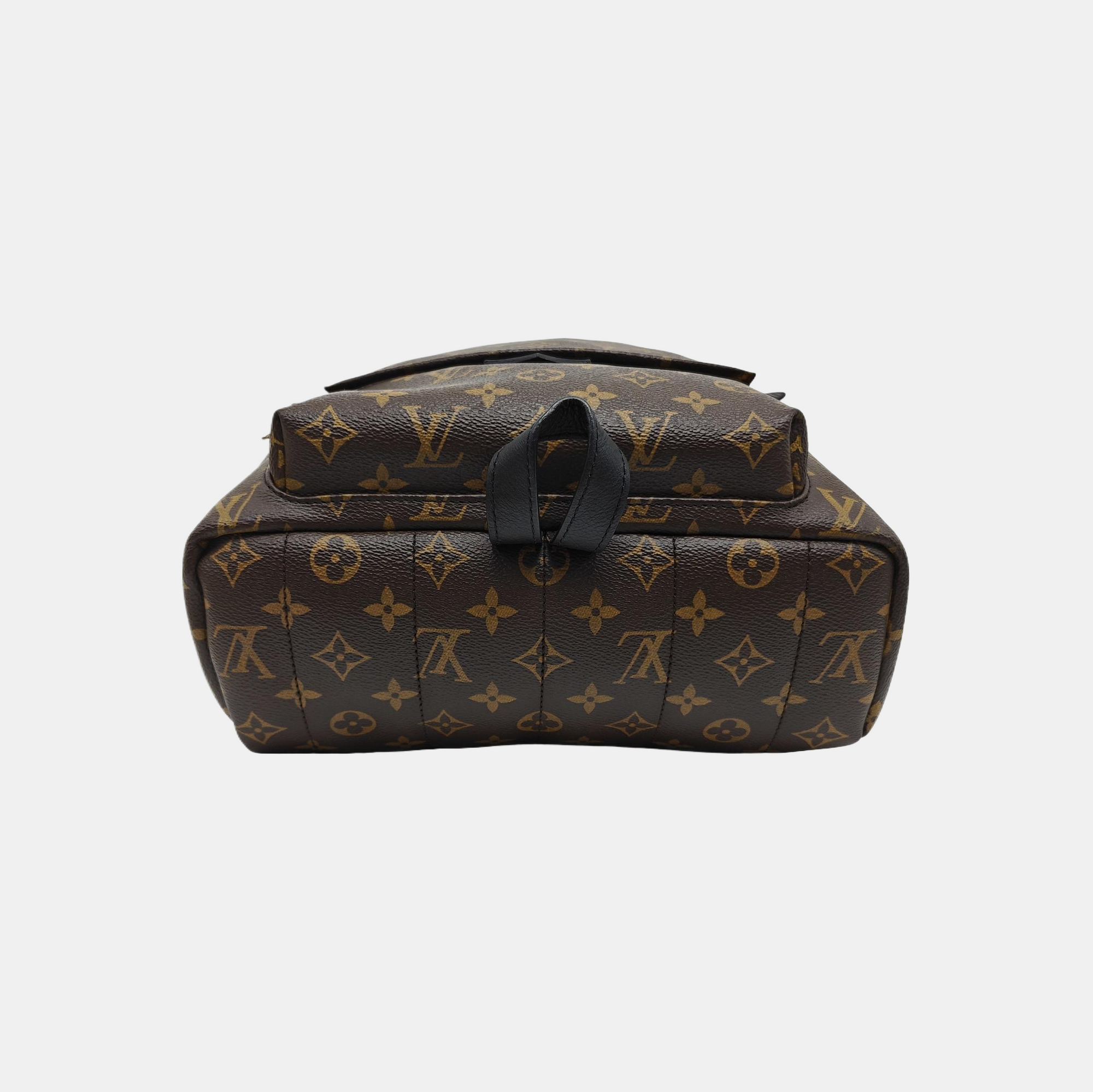 PALM SPRINGS MM Monogram Coated Canvas Brown