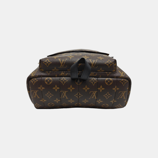 PALM SPRINGS MM Monogram Coated Canvas Brown