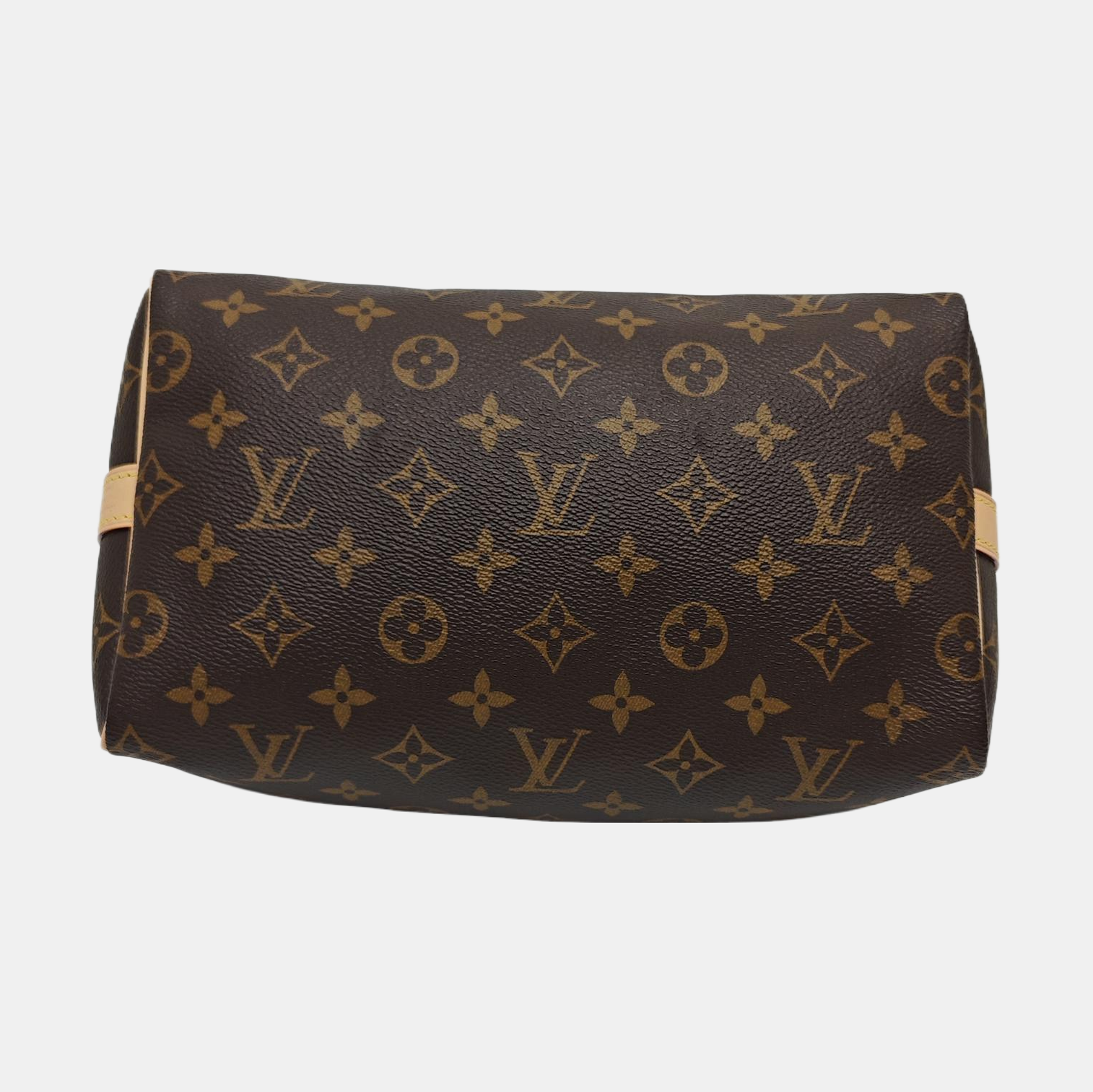 SPEEDY 25 Monogram Coated Canvas Brown
