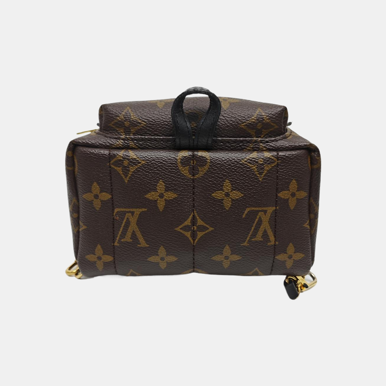 PALM SPRINGS Mini Monogram Coated Canvas Brown