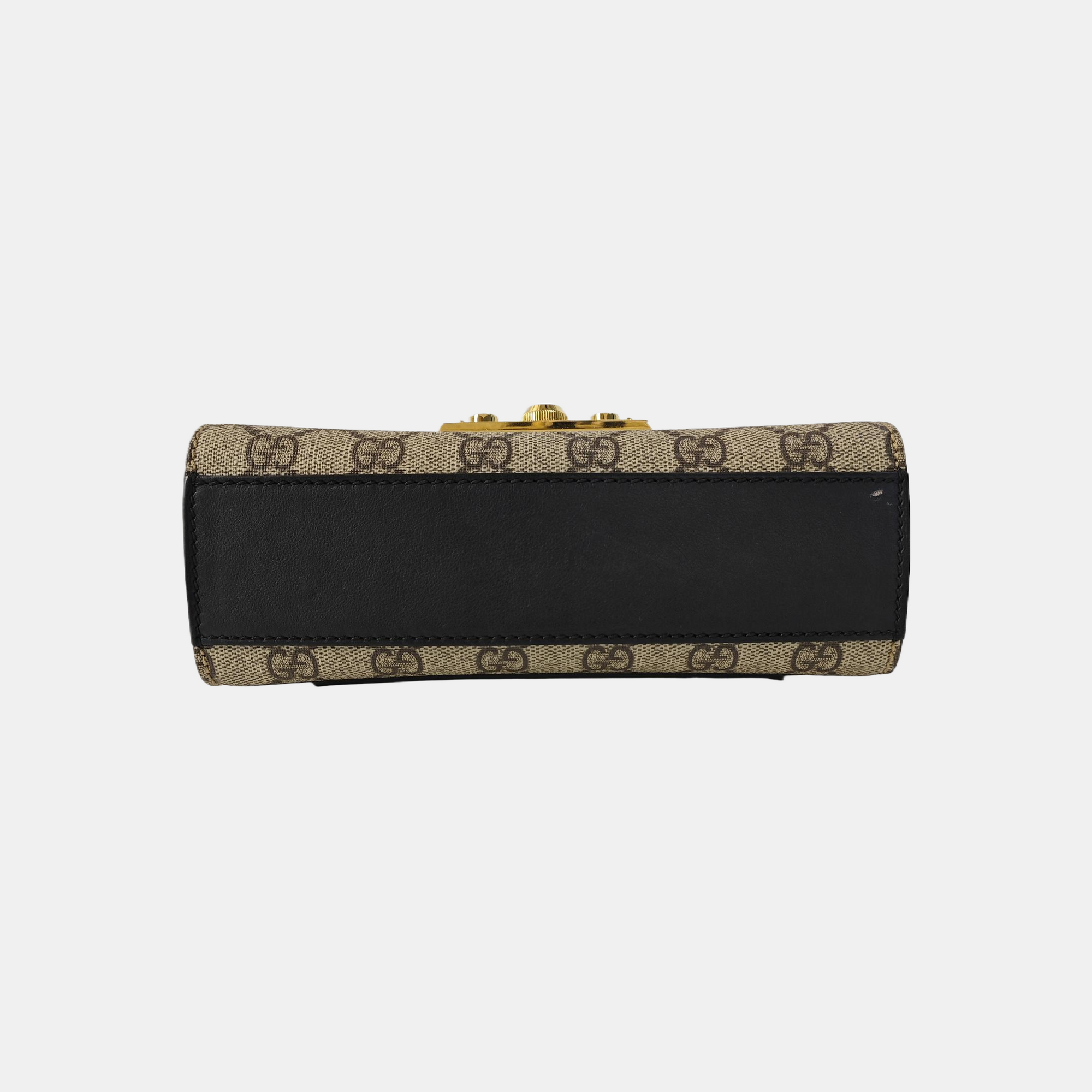 Padlock Small Monogram Coated Canvas Multicolor