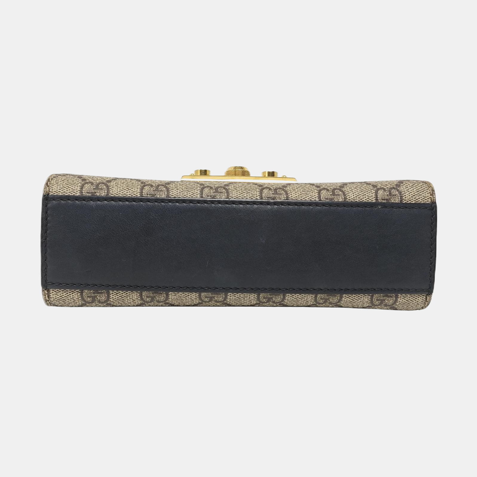 Padlock Small Monogram Coated Canvas Multicolor