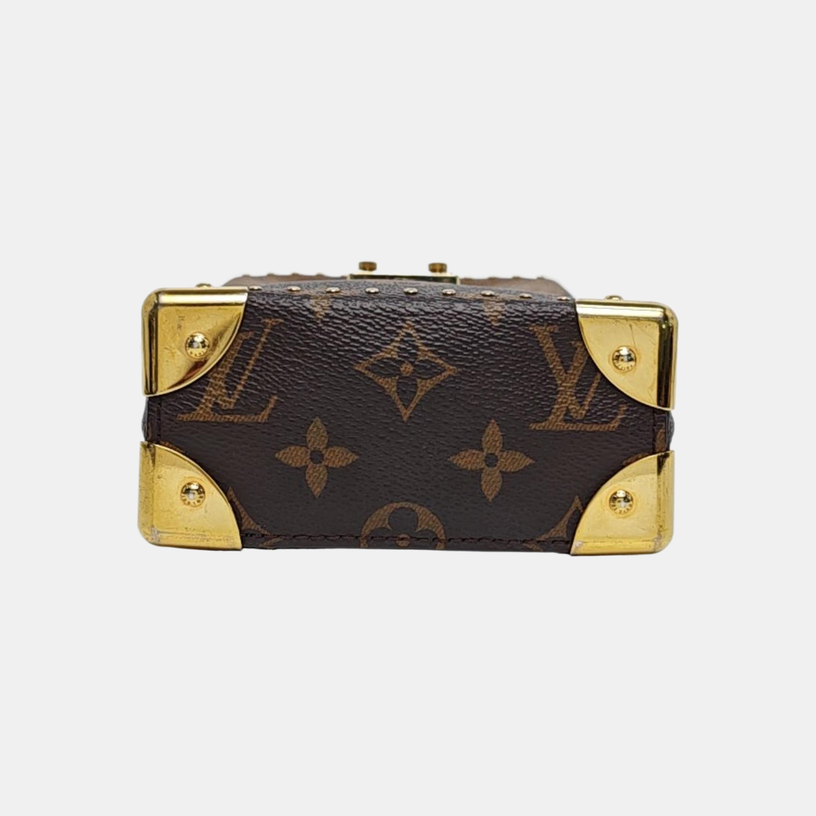 CAMERA BOX Monogram Coated Canvas Brown