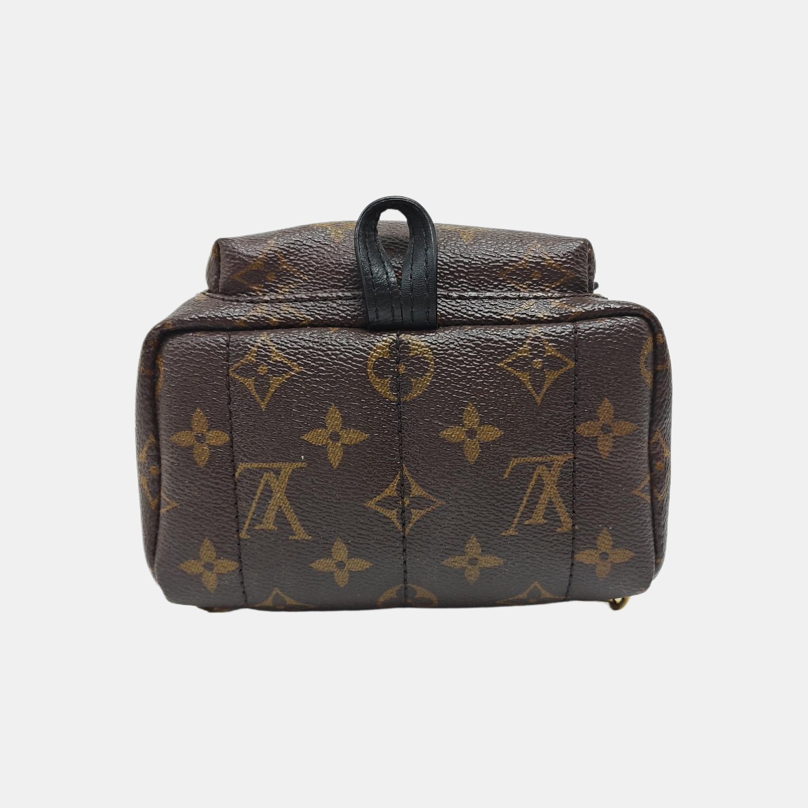 PALM SPRINGS Mini Monogram Coated Canvas Brown