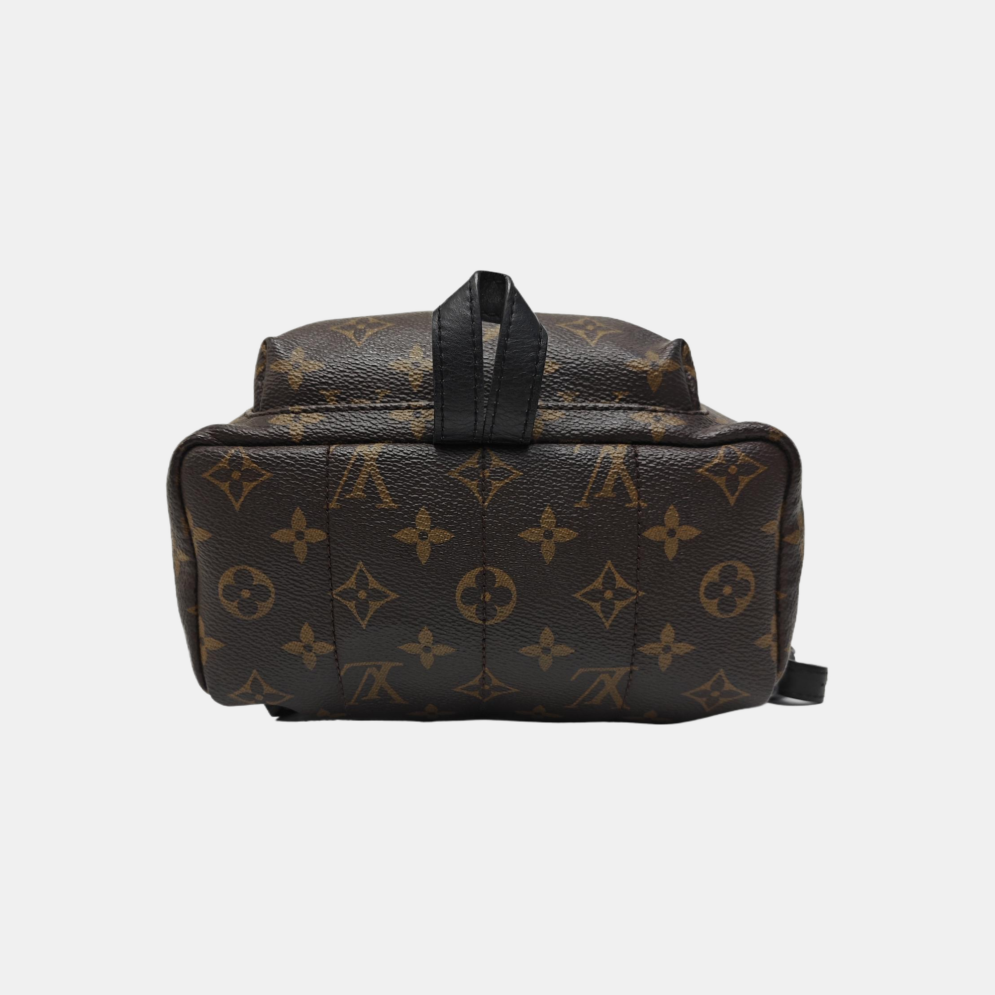 PALM SPRINGS PM Monogram Coated Canvas Brown