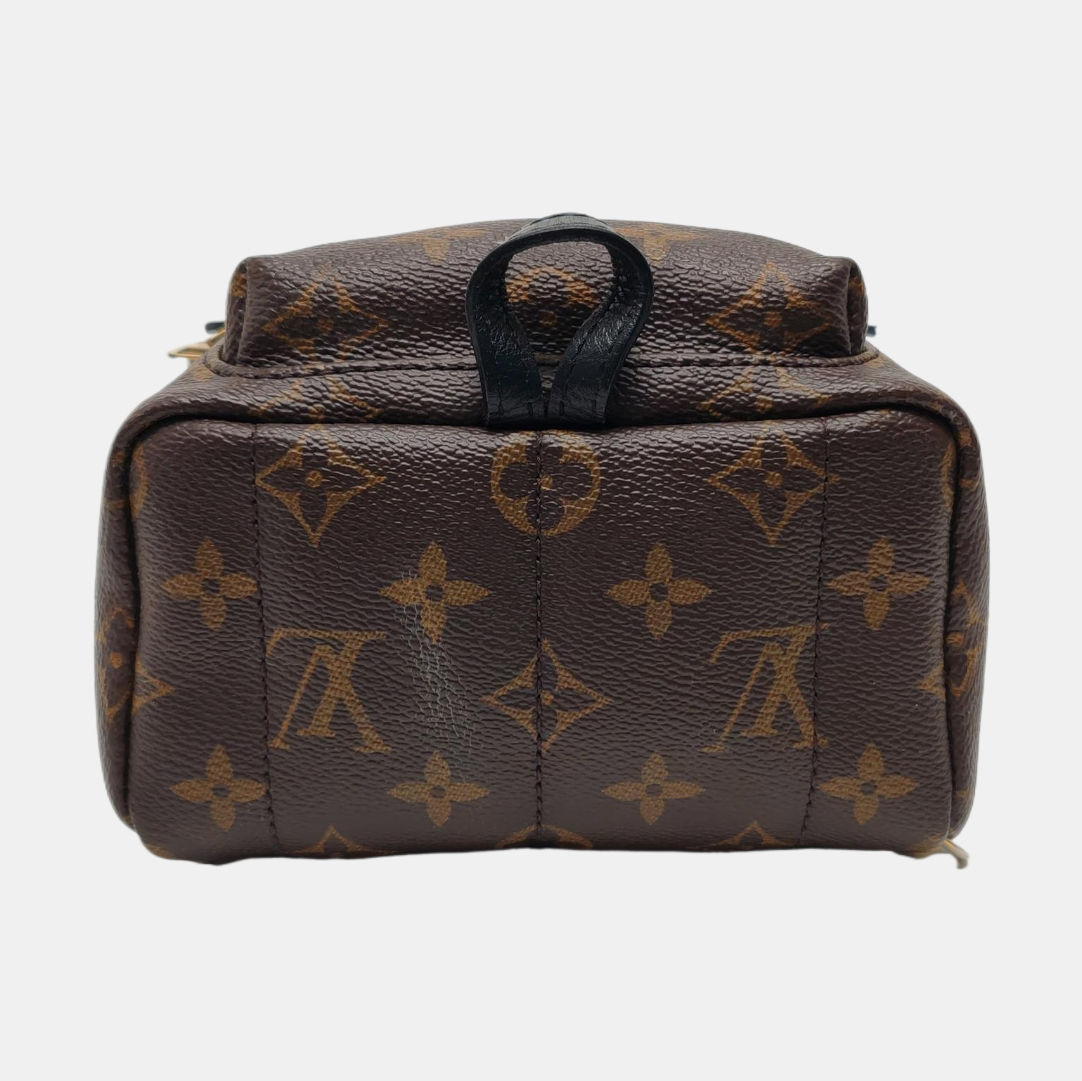 Authenticated pre-owned  PALM SPRINGS Mini Monogram Coated Canvas Brown - Backpack at Looply