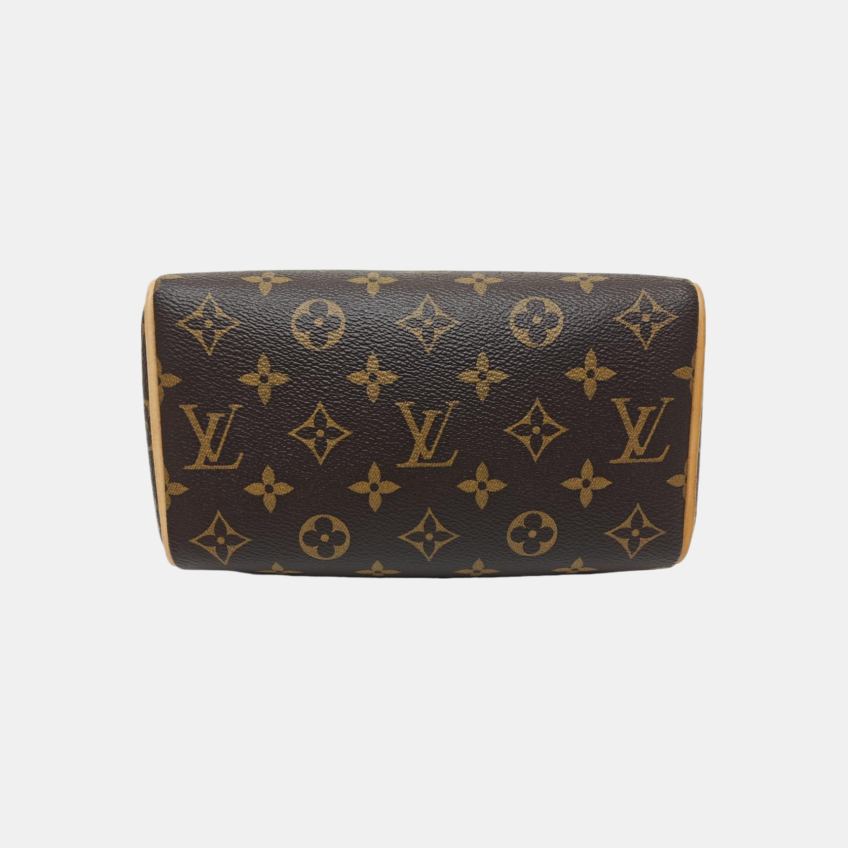 SPEEDY 20 Monogram Coated Canvas Brown