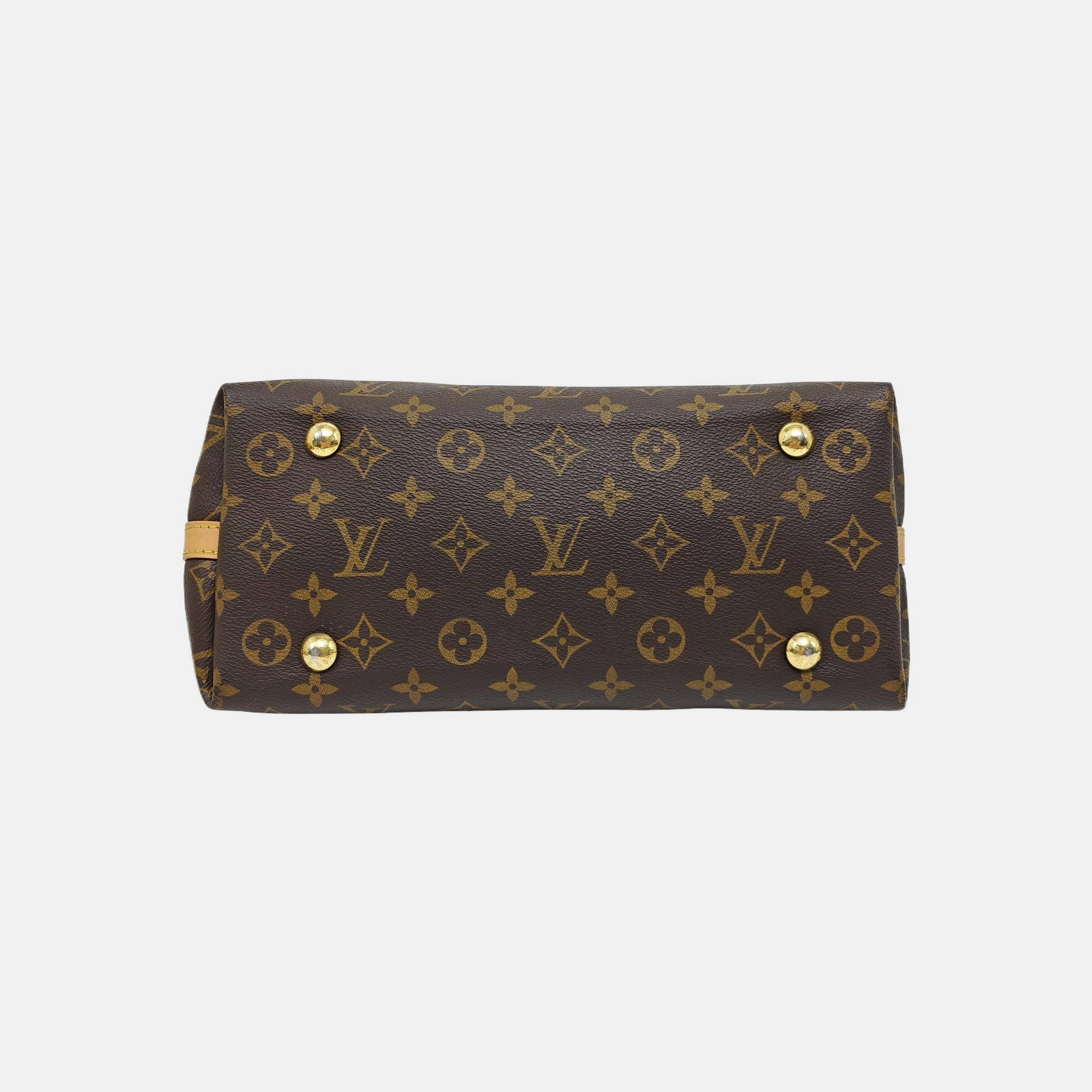 CARRYALL PM Monogram Coated Canvas Brown