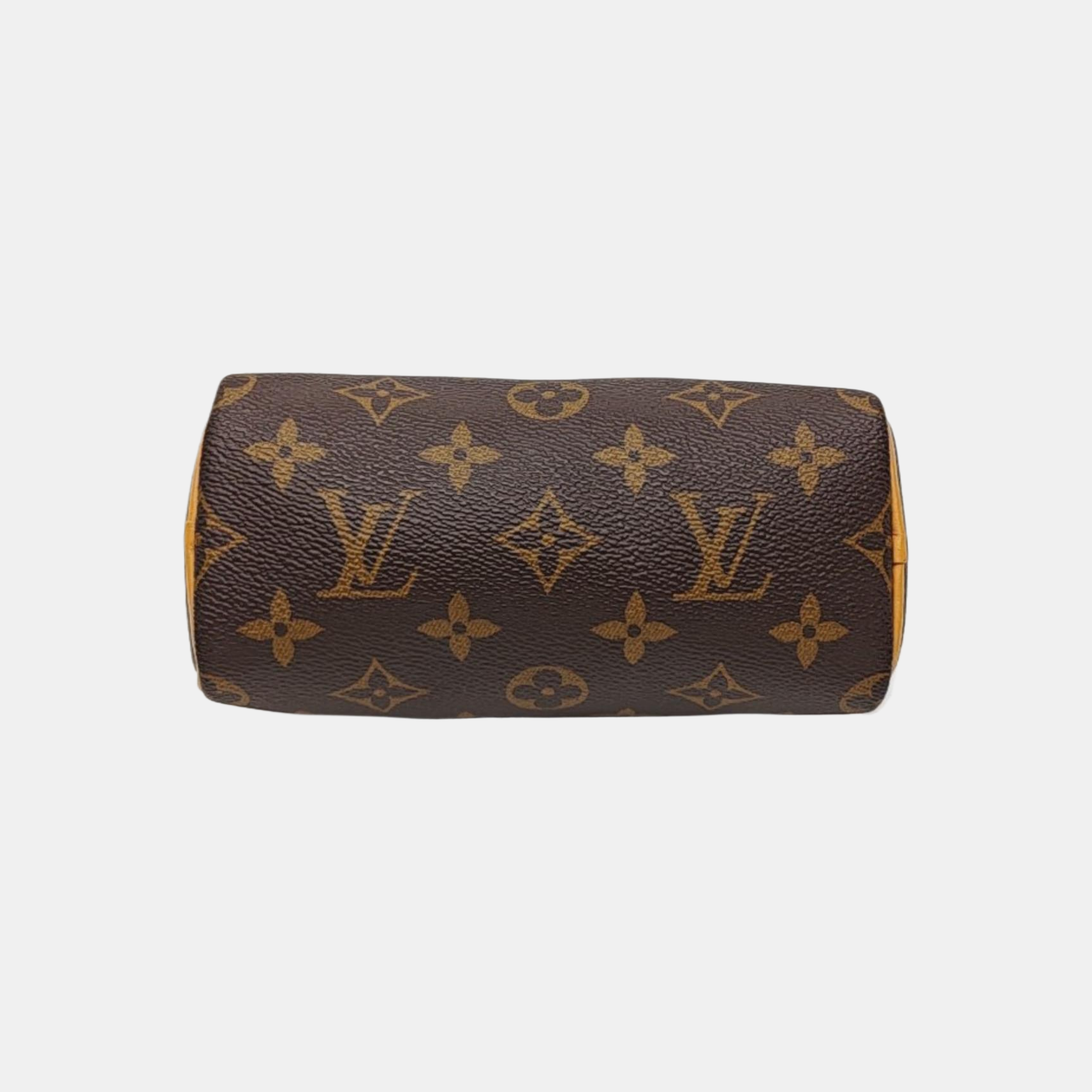 SPEEDY Nano Monogram Coated Canvas Brown