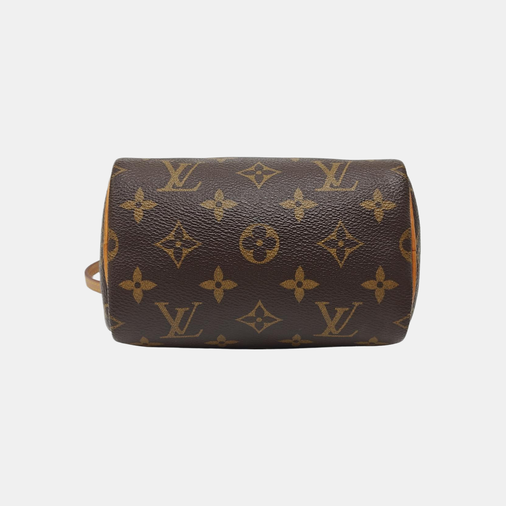 SPEEDY Nano Monogram Coated Canvas Brown