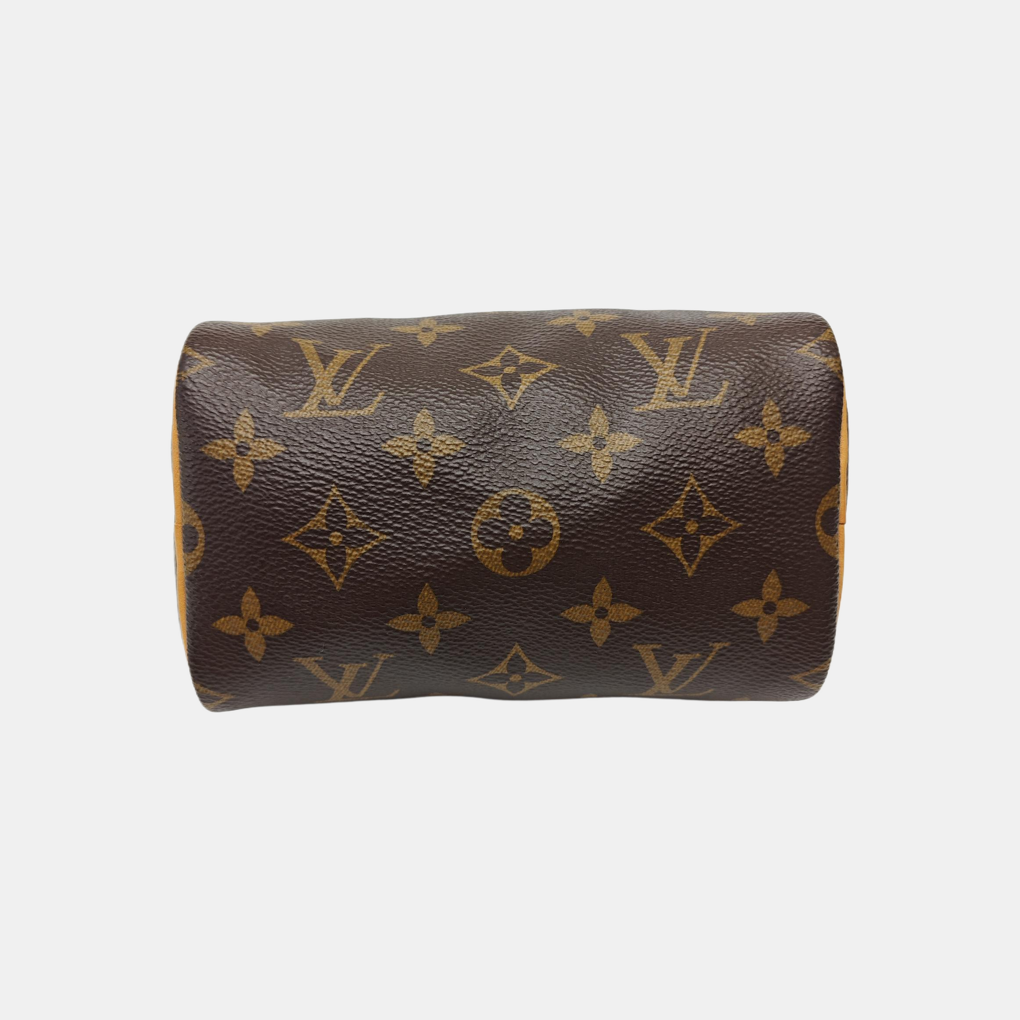 SPEEDY Nano Monogram Coated Canvas Brown