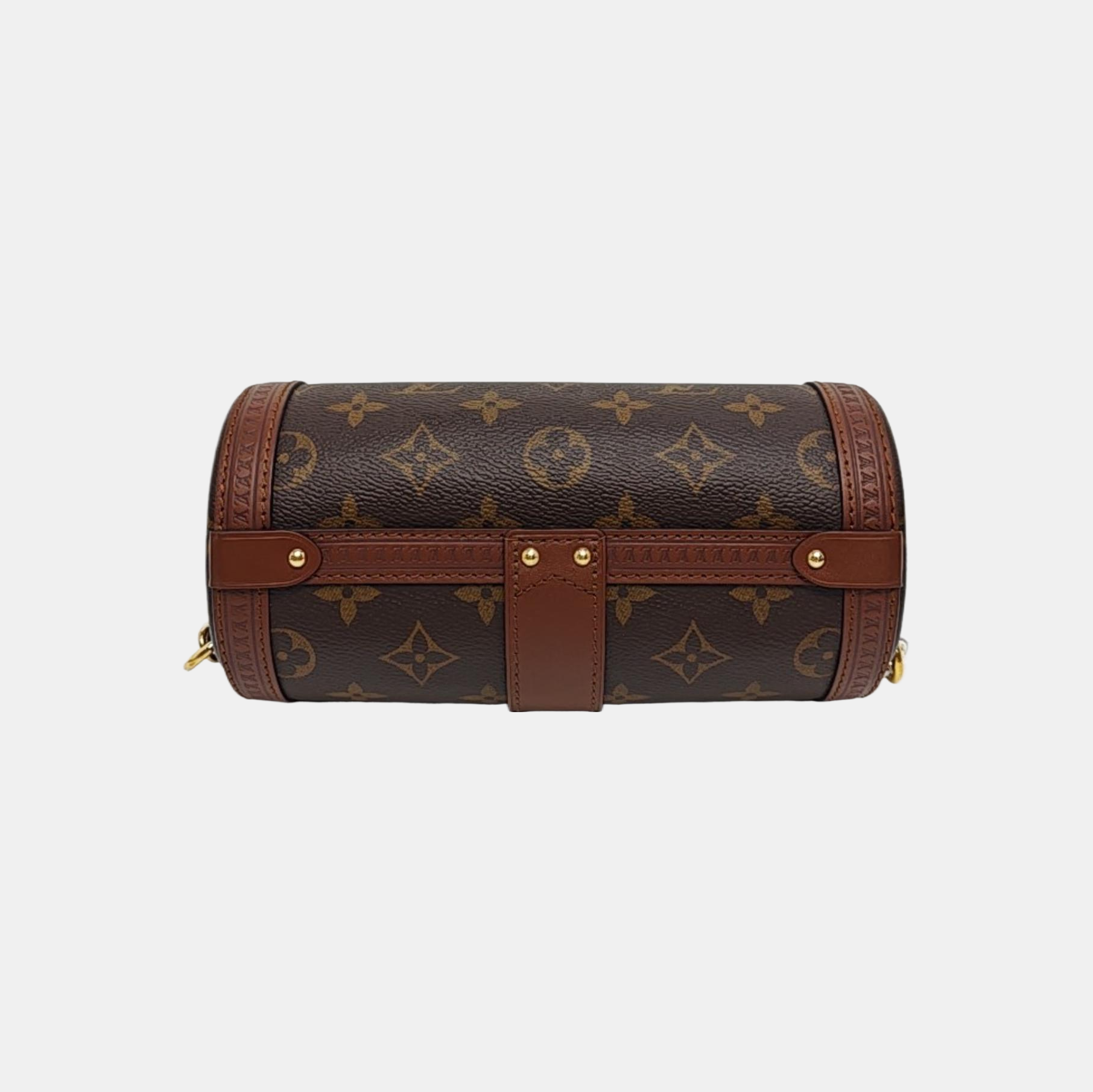 PAPILLON 19 Monogram Coated Canvas Brown