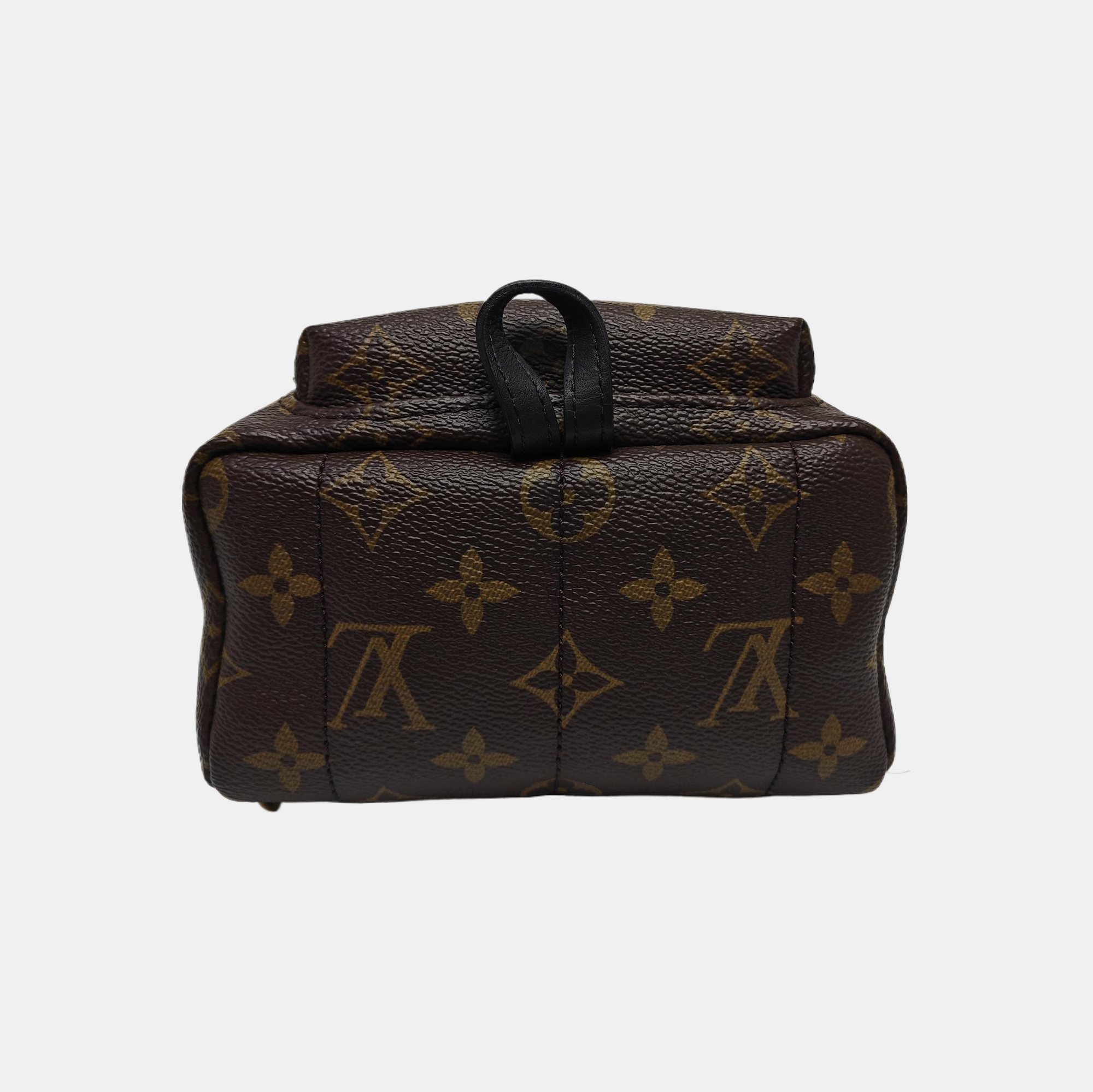 PALM SPRINGS Mini Monogram Coated Canvas Brown