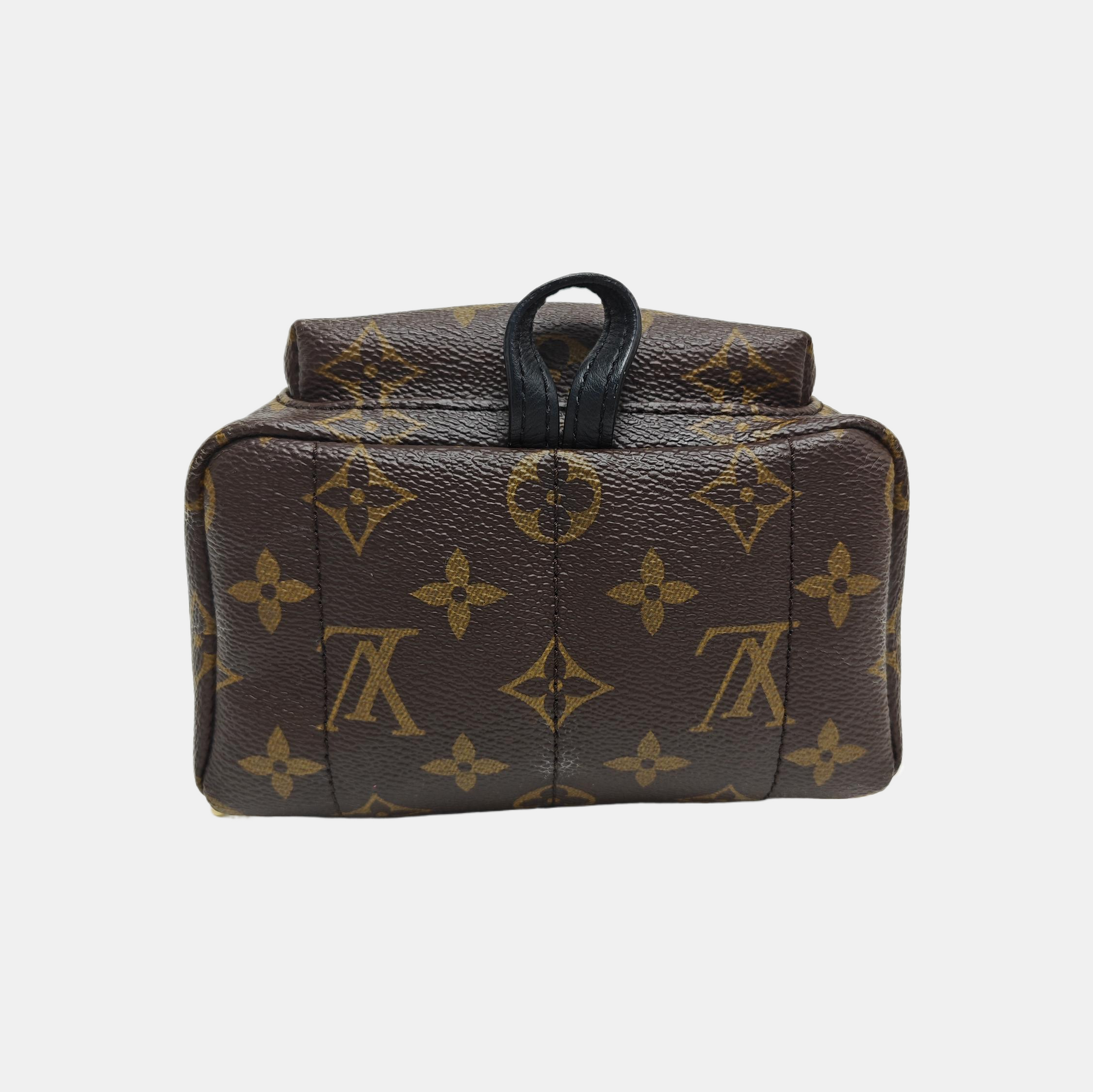 PALM SPRINGS Mini Monogram Coated Canvas Brown