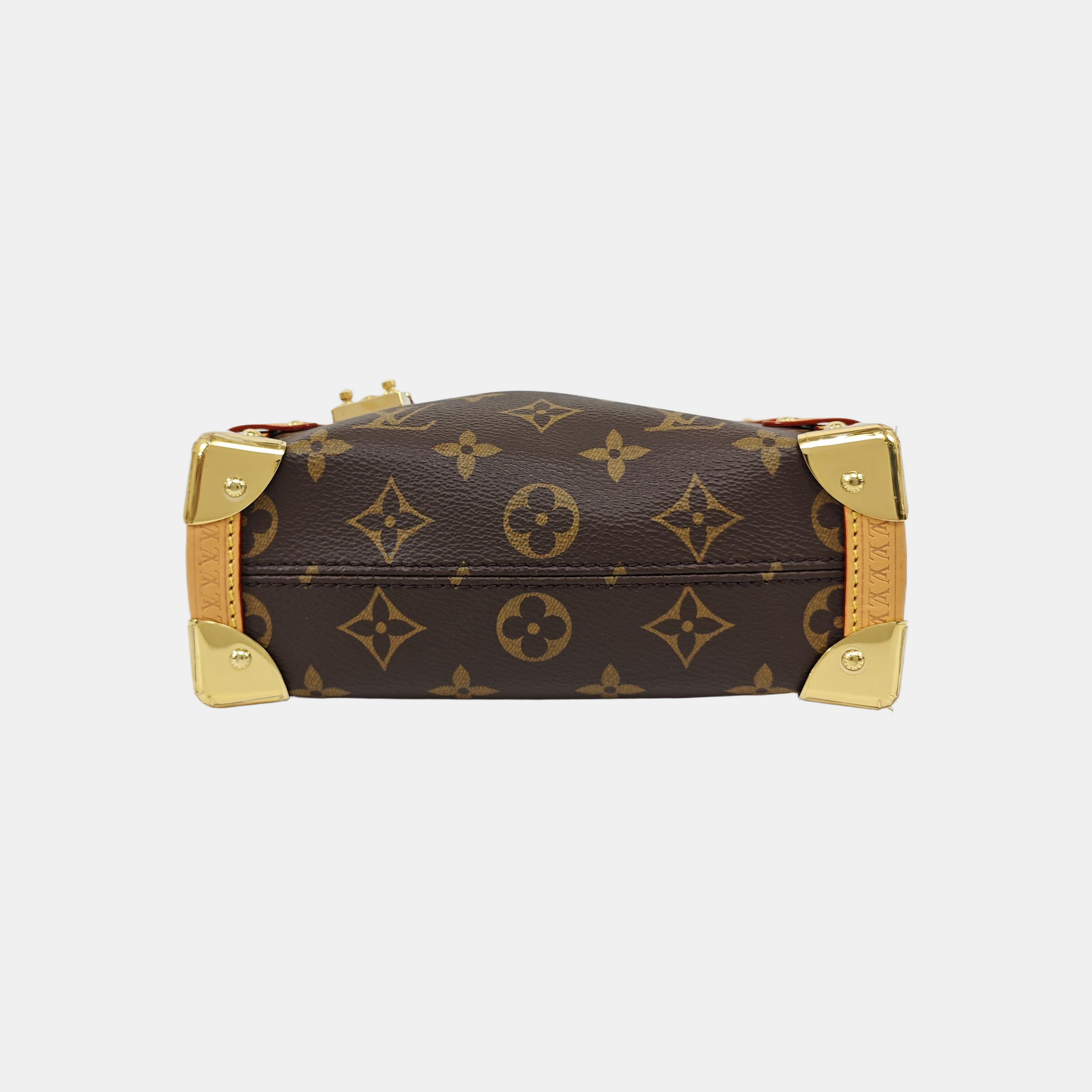 SIDE TRUNK PM Monogram Coated Canvas Brown
