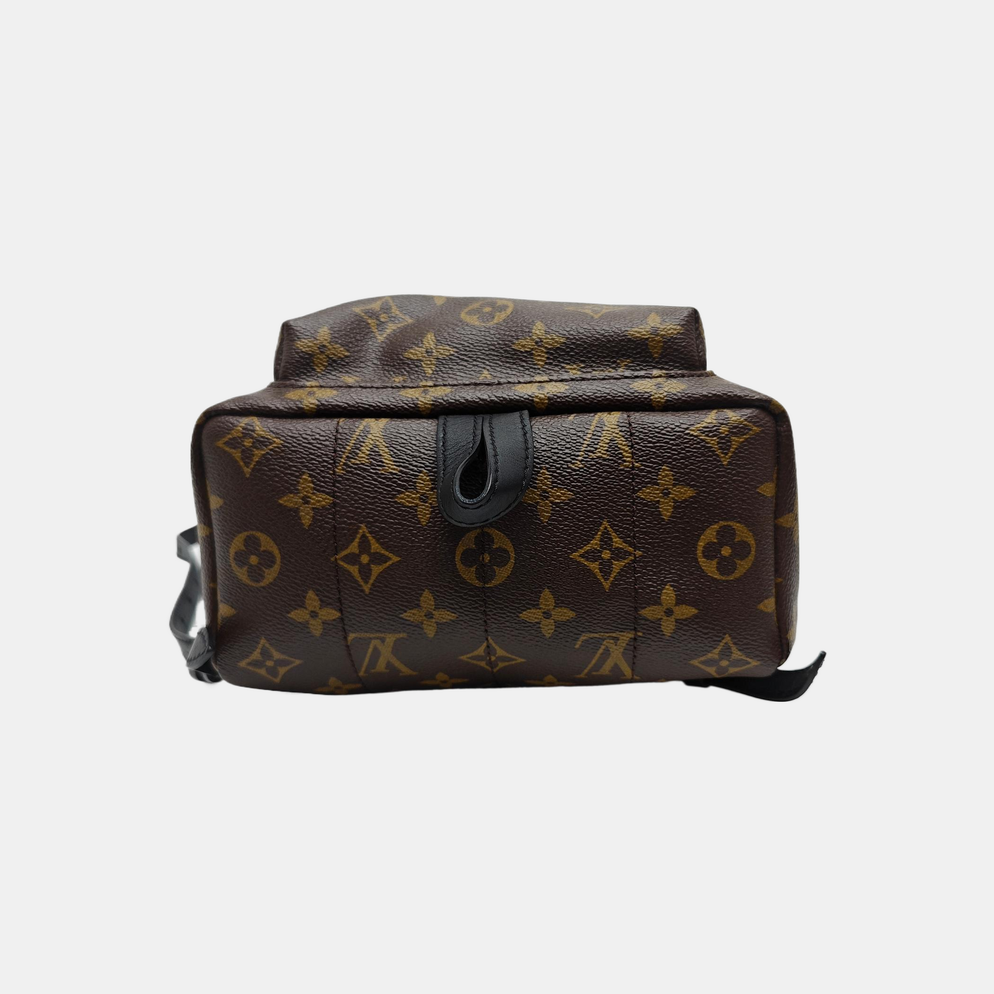 PALM SPRINGS PM Monogram Coated Canvas Brown