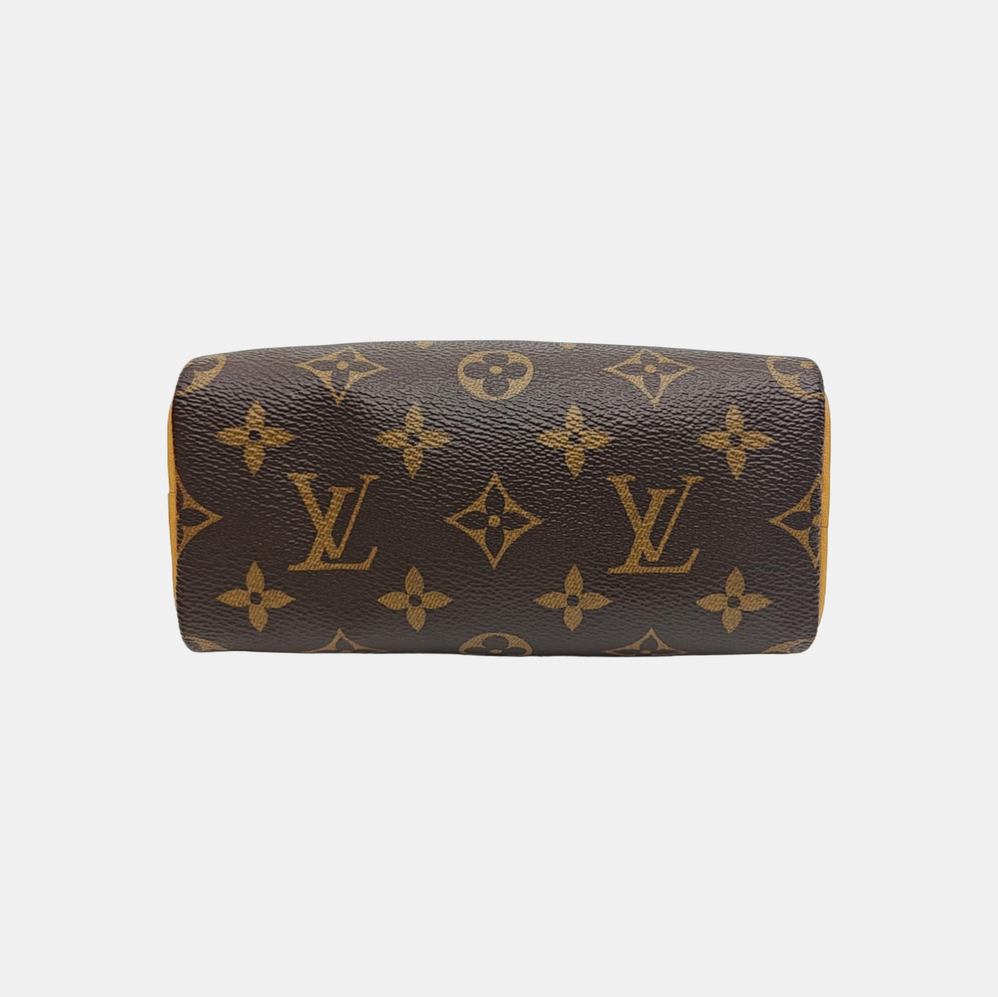 SPEEDY Nano Monogram Coated Canvas Brown