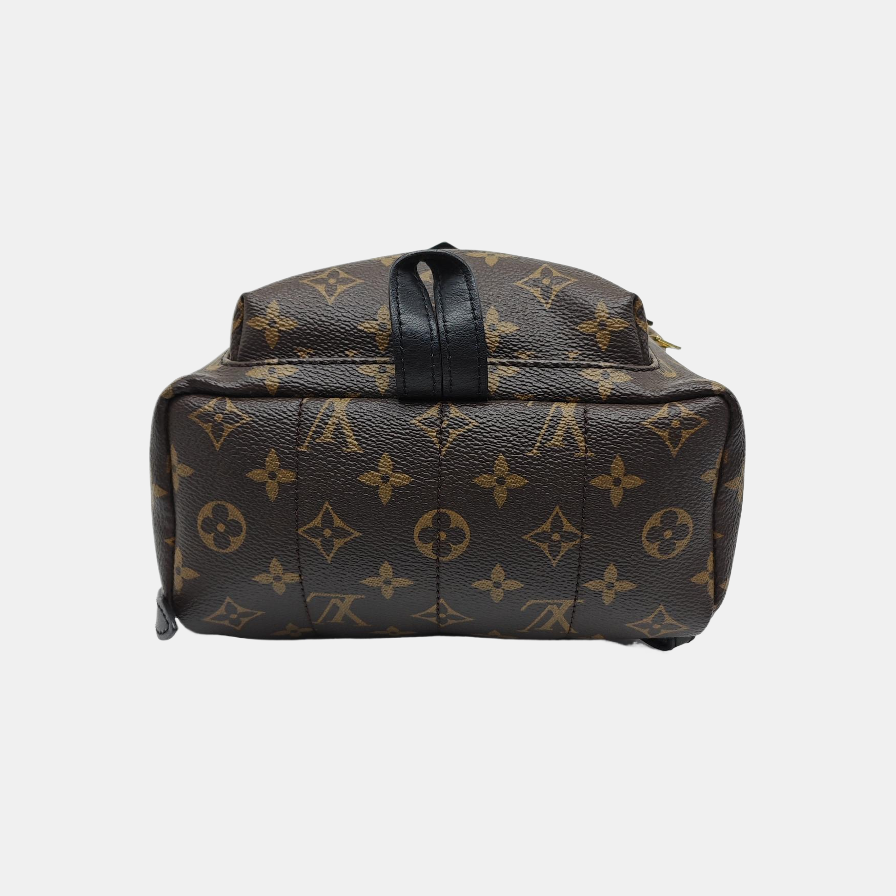 PALM SPRINGS PM Monogram Coated Canvas Brown
